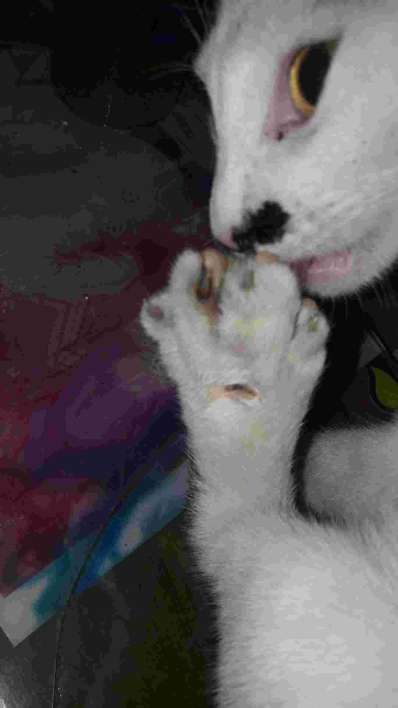 Question details sensitive content