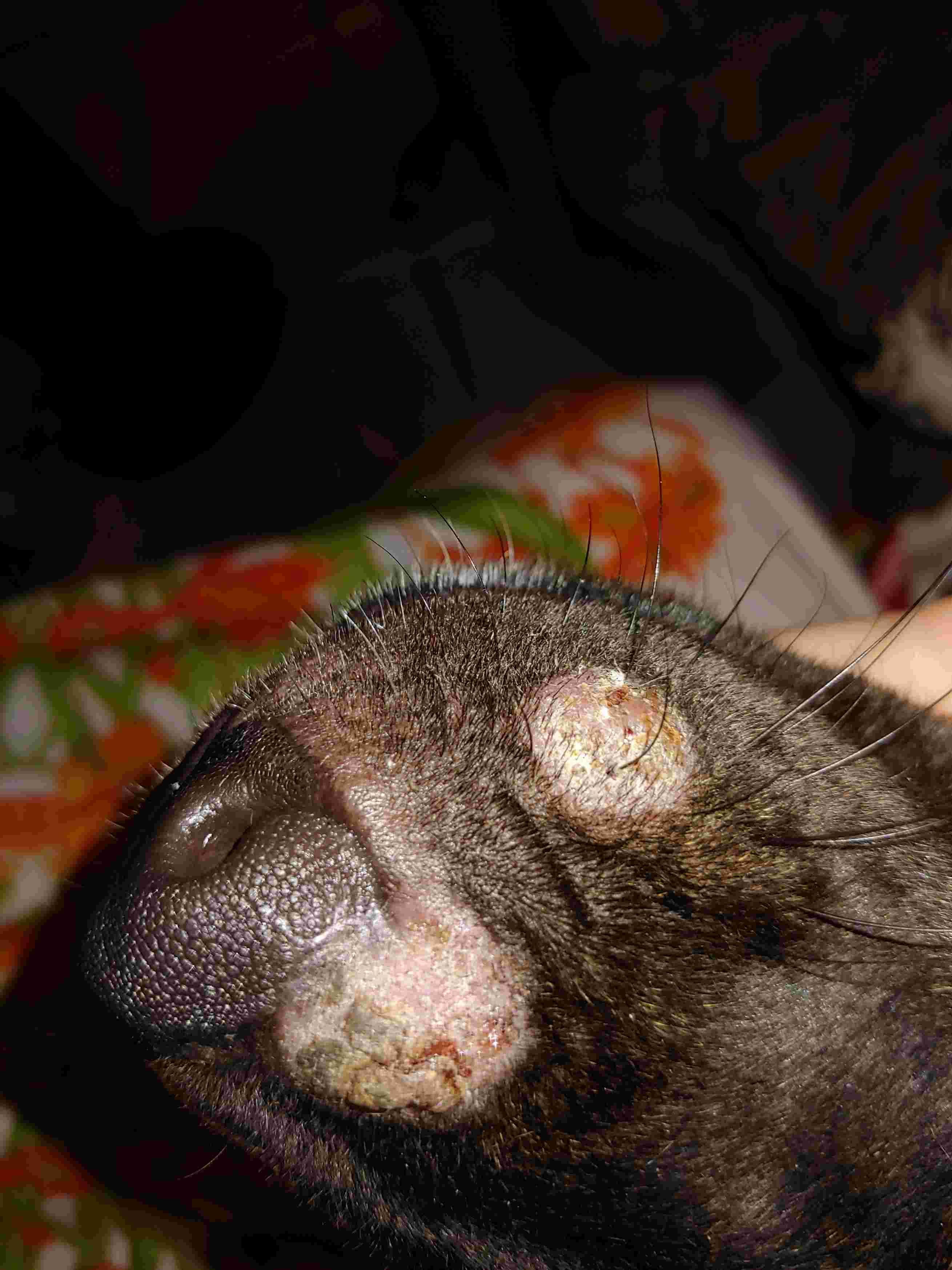 Question details sensitive content