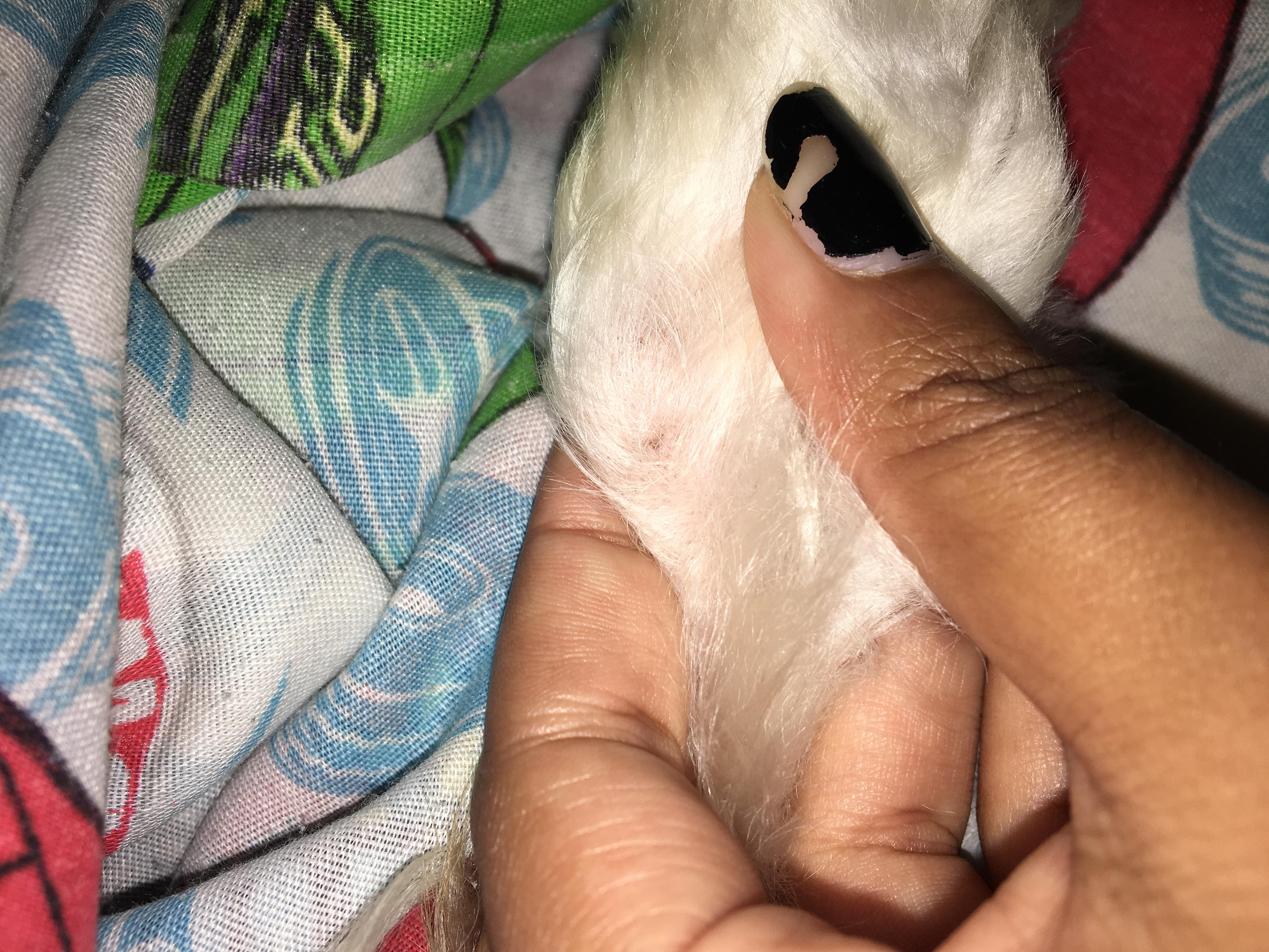 Question details sensitive content