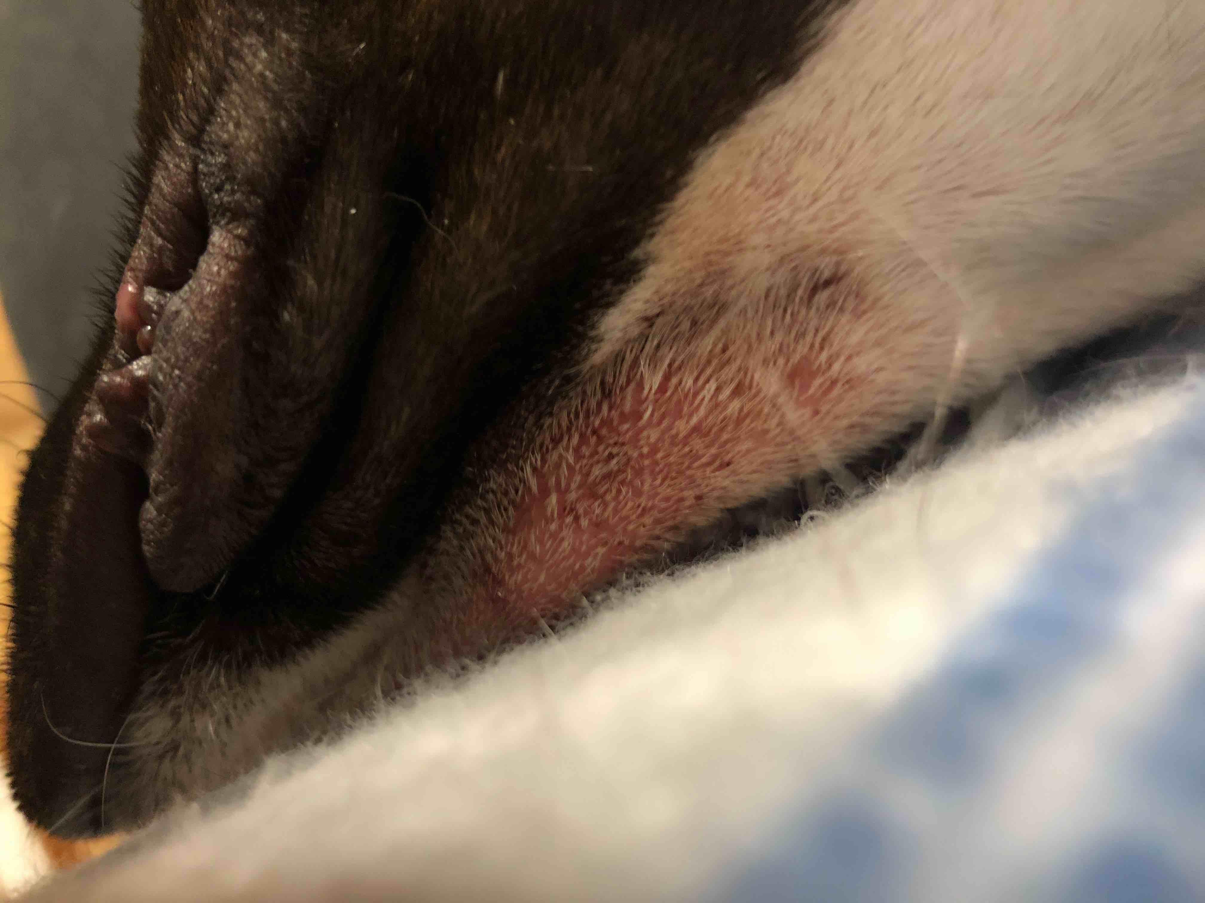 Question details sensitive content