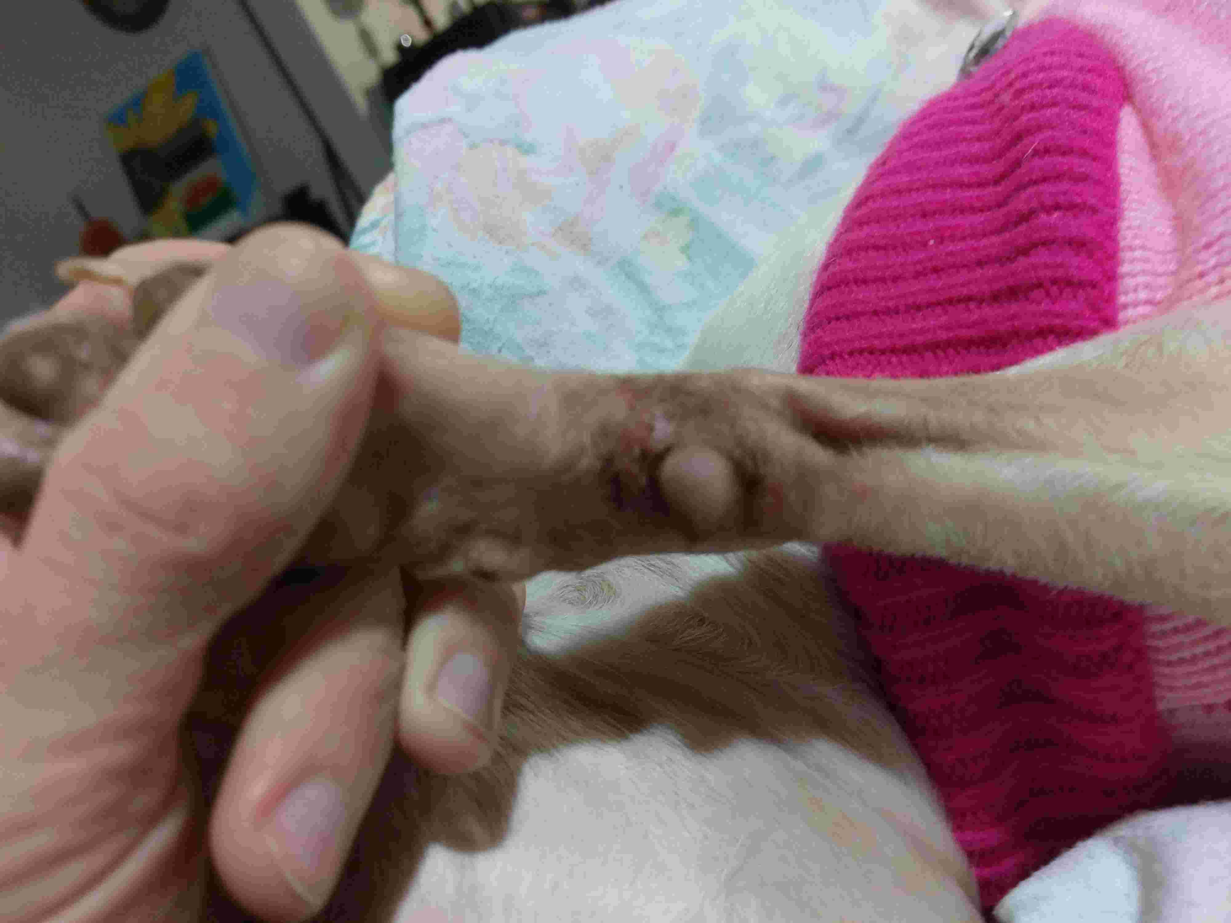 Question details sensitive content