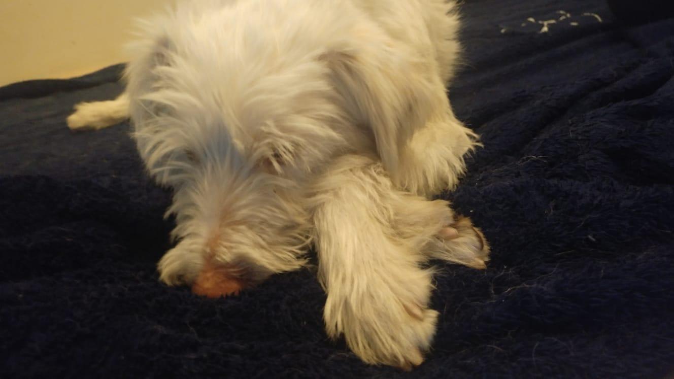 Question details sensitive content