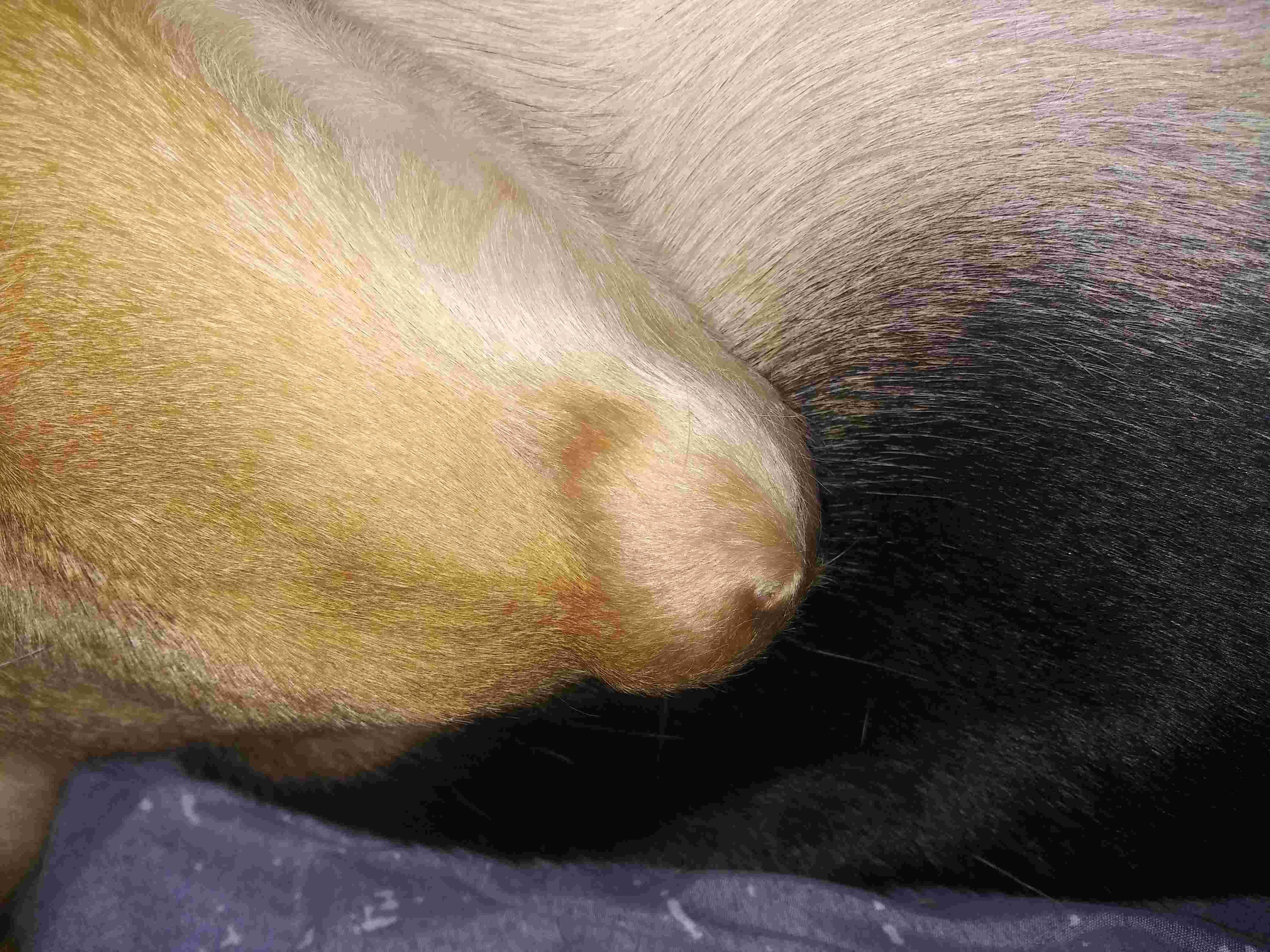 Question details sensitive content