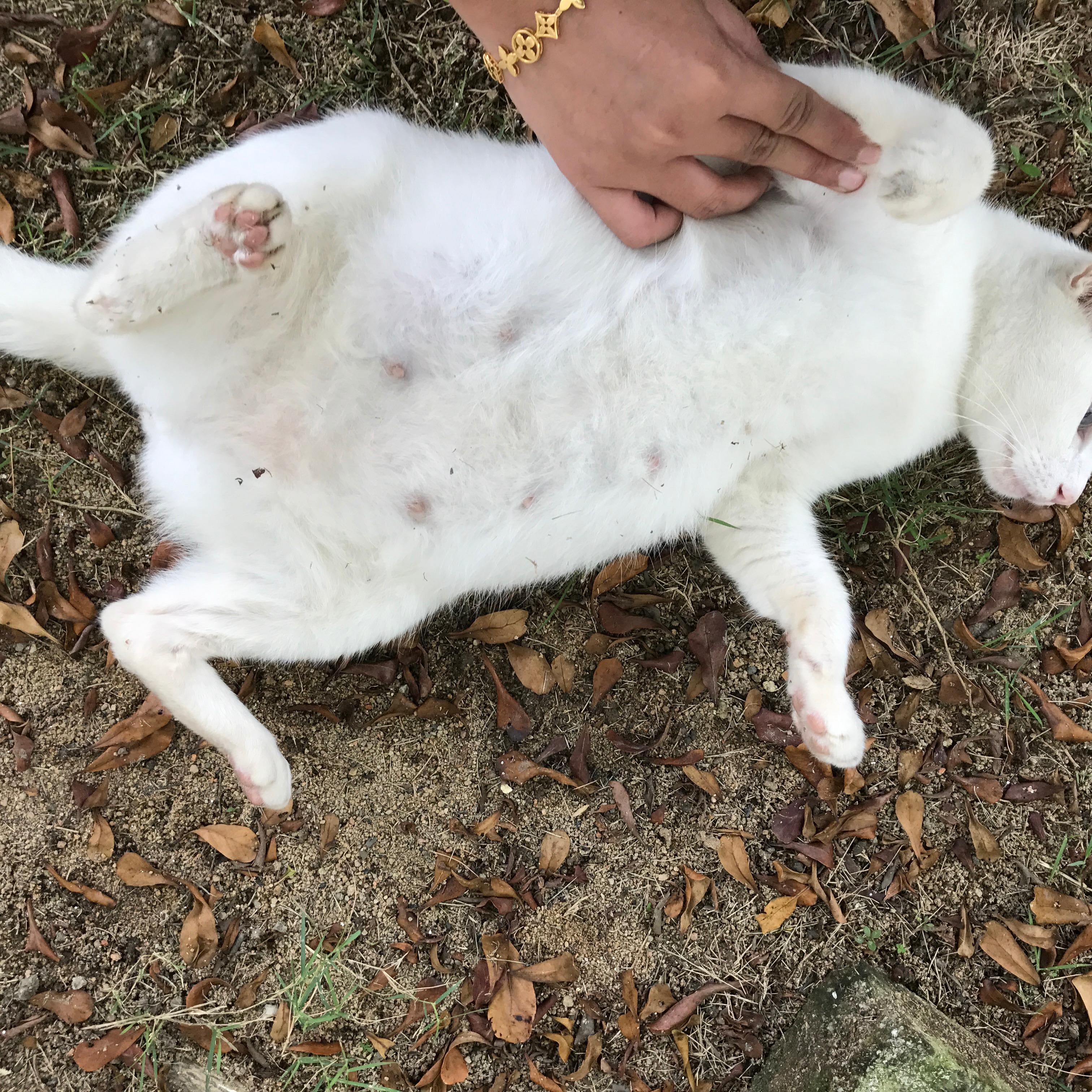 Question details sensitive content