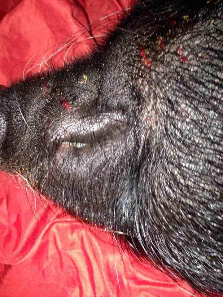 Question details sensitive content