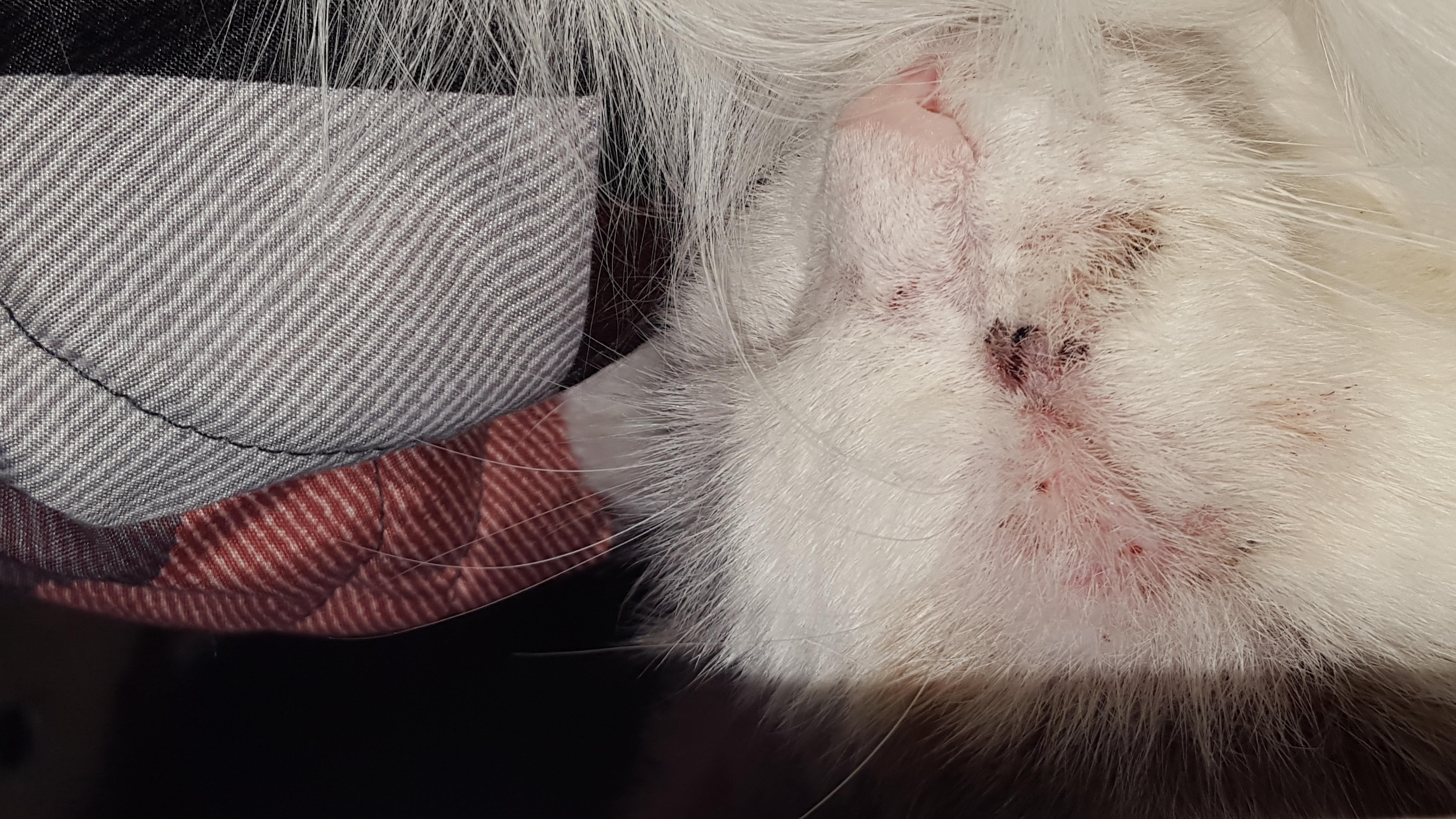 Question details sensitive content