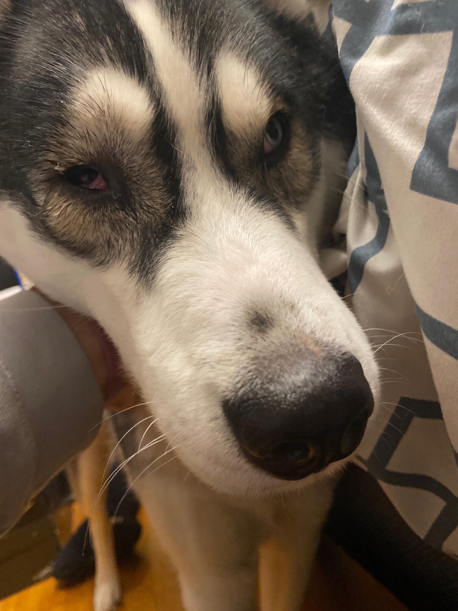 Question details sensitive content