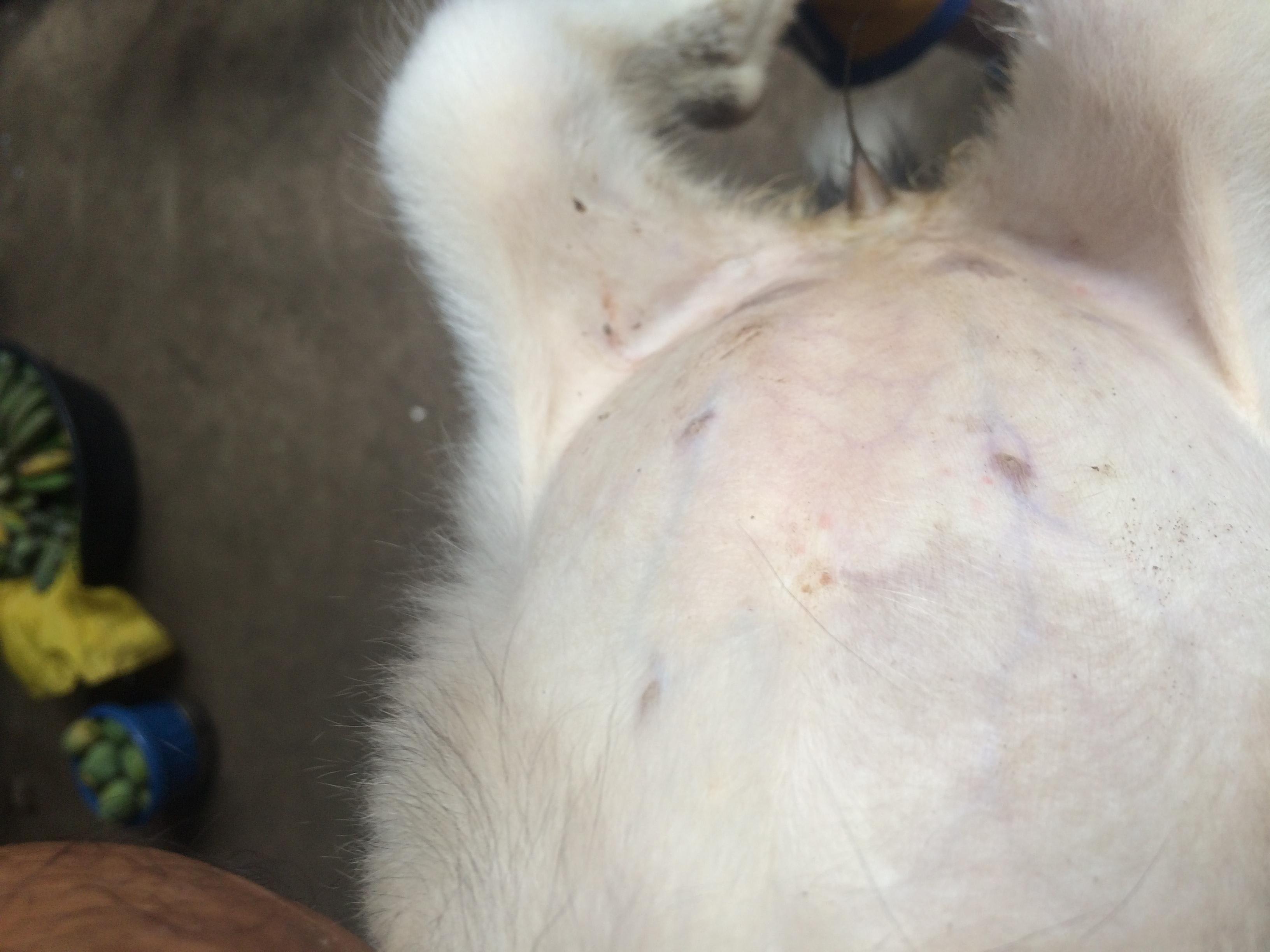 Question details sensitive content