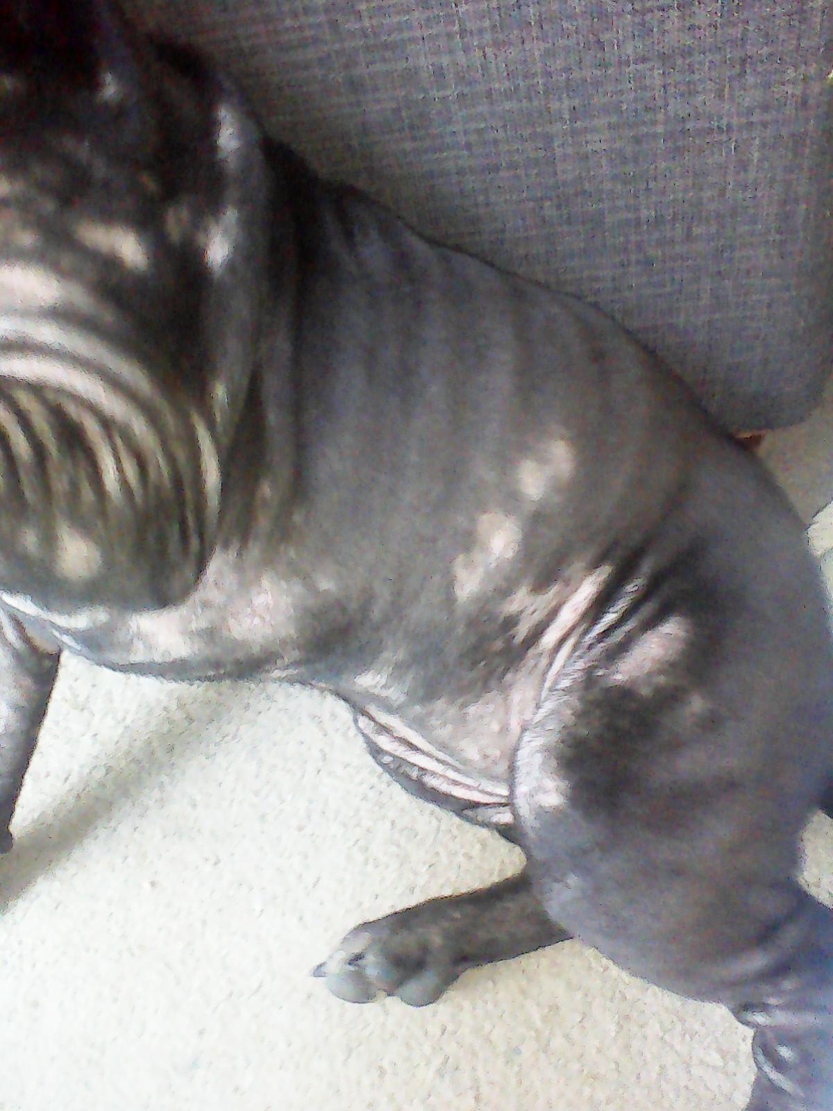 Question details sensitive content