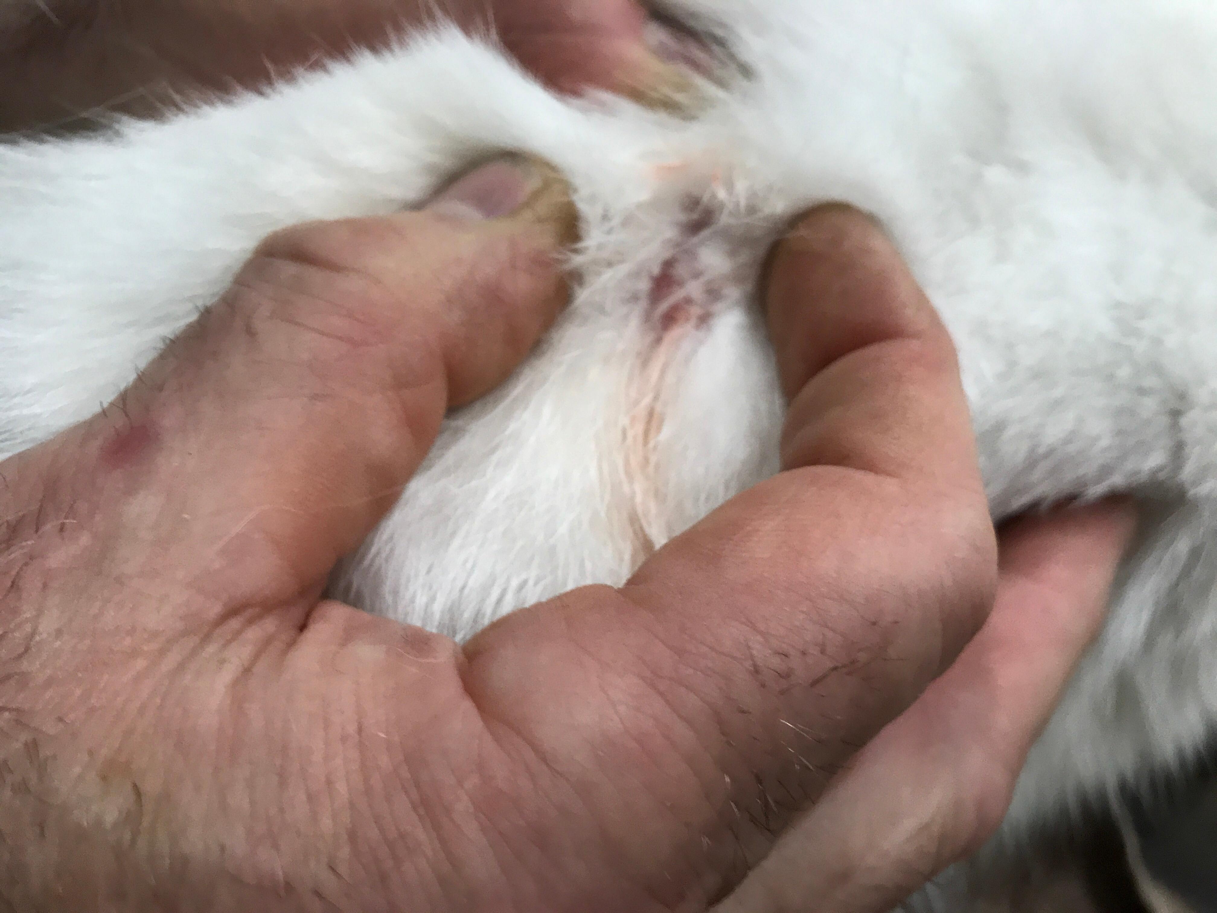 Question details sensitive content