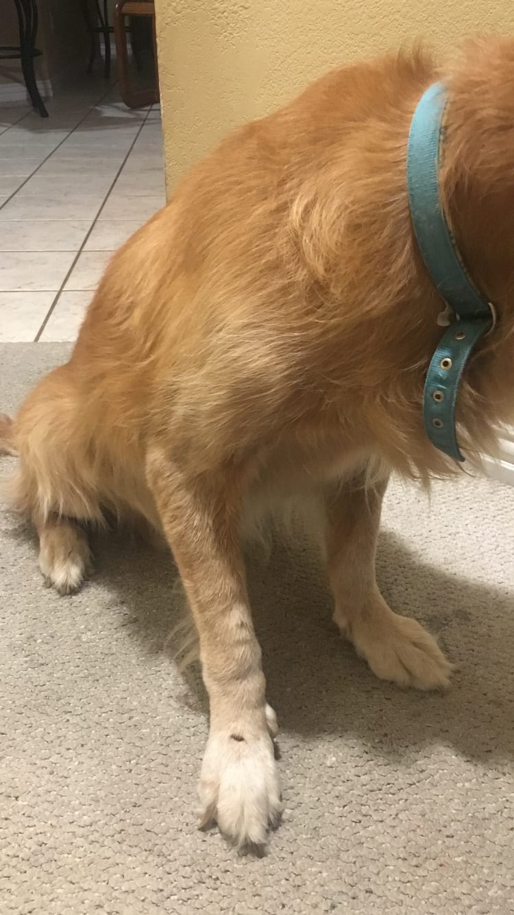 Question details sensitive content