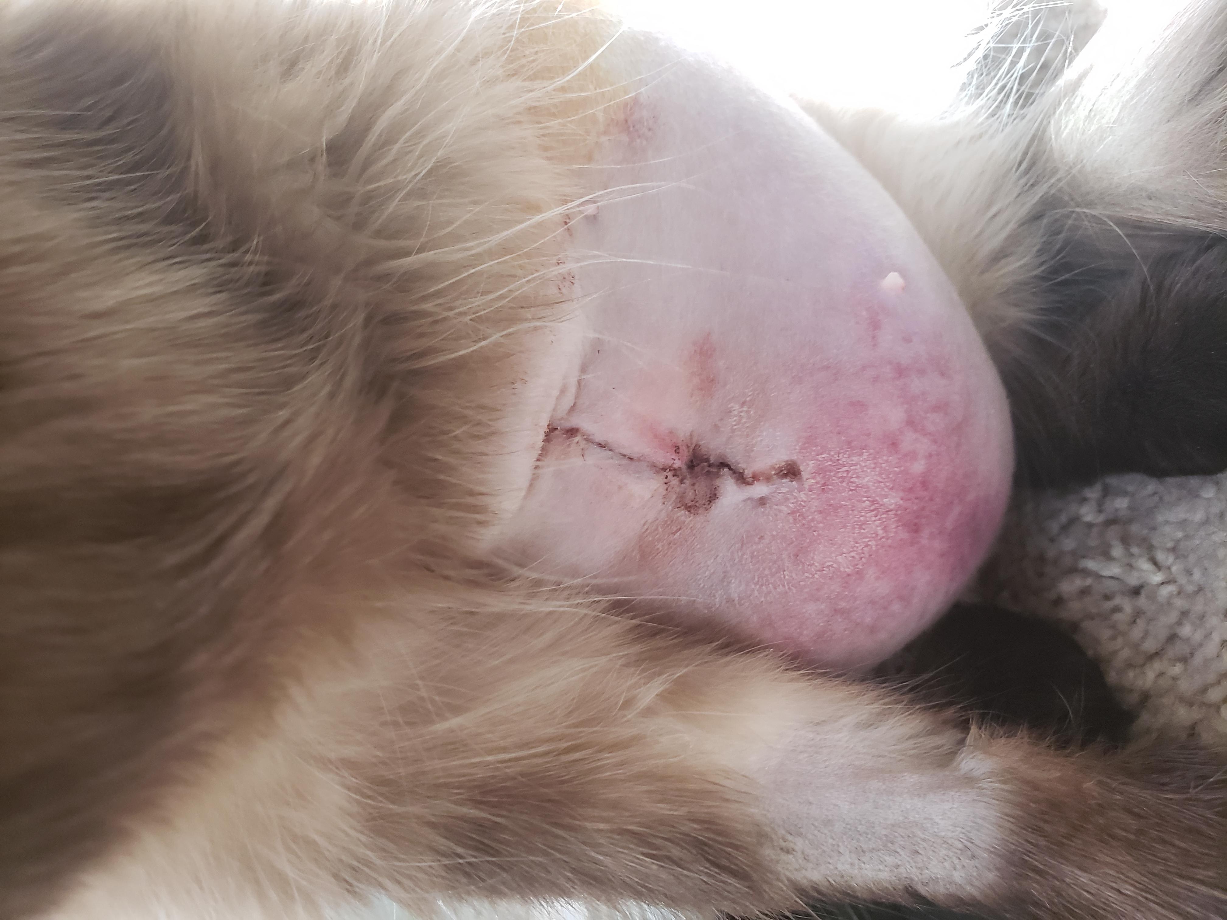 Question details sensitive content