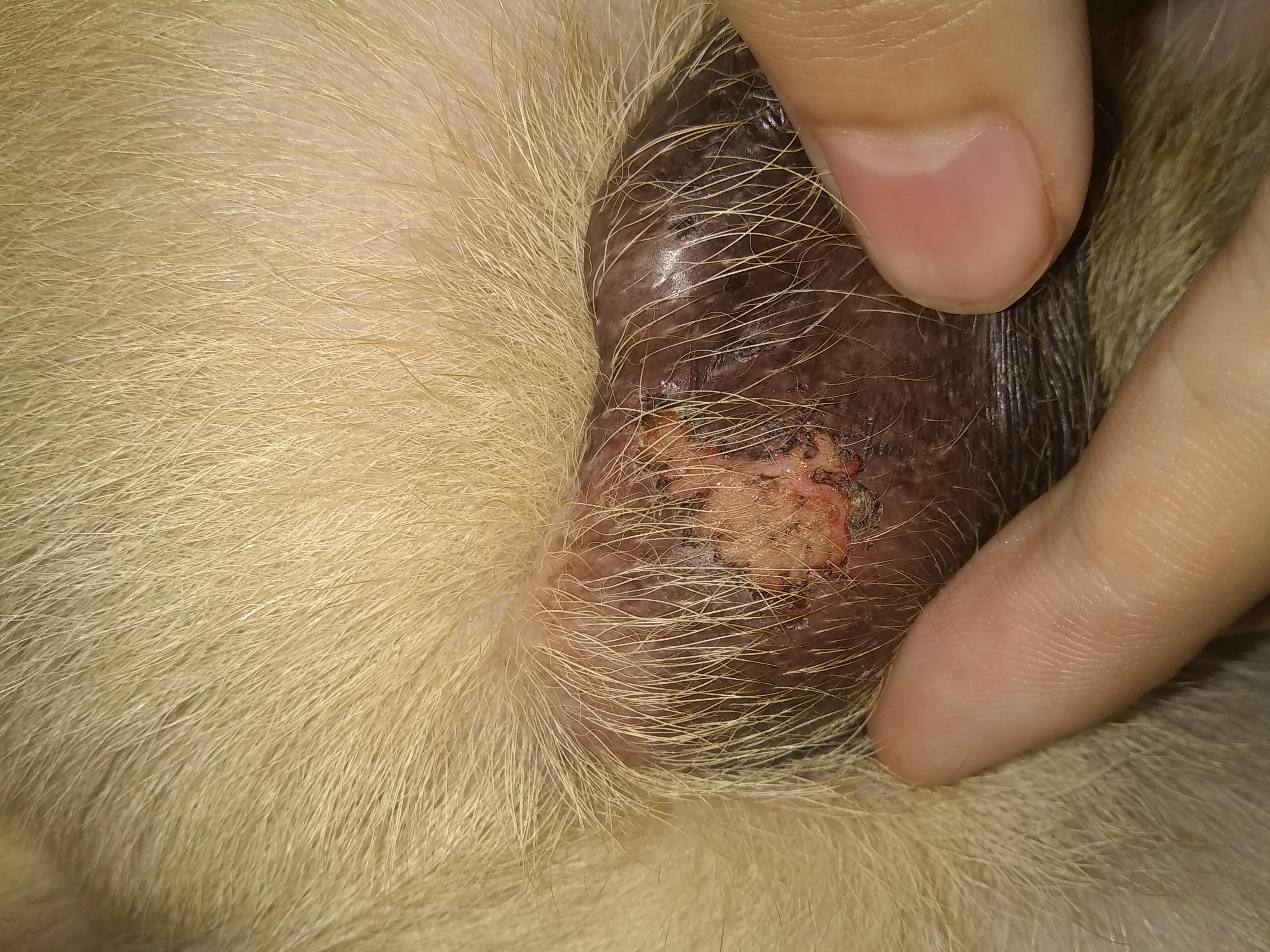 Question details sensitive content