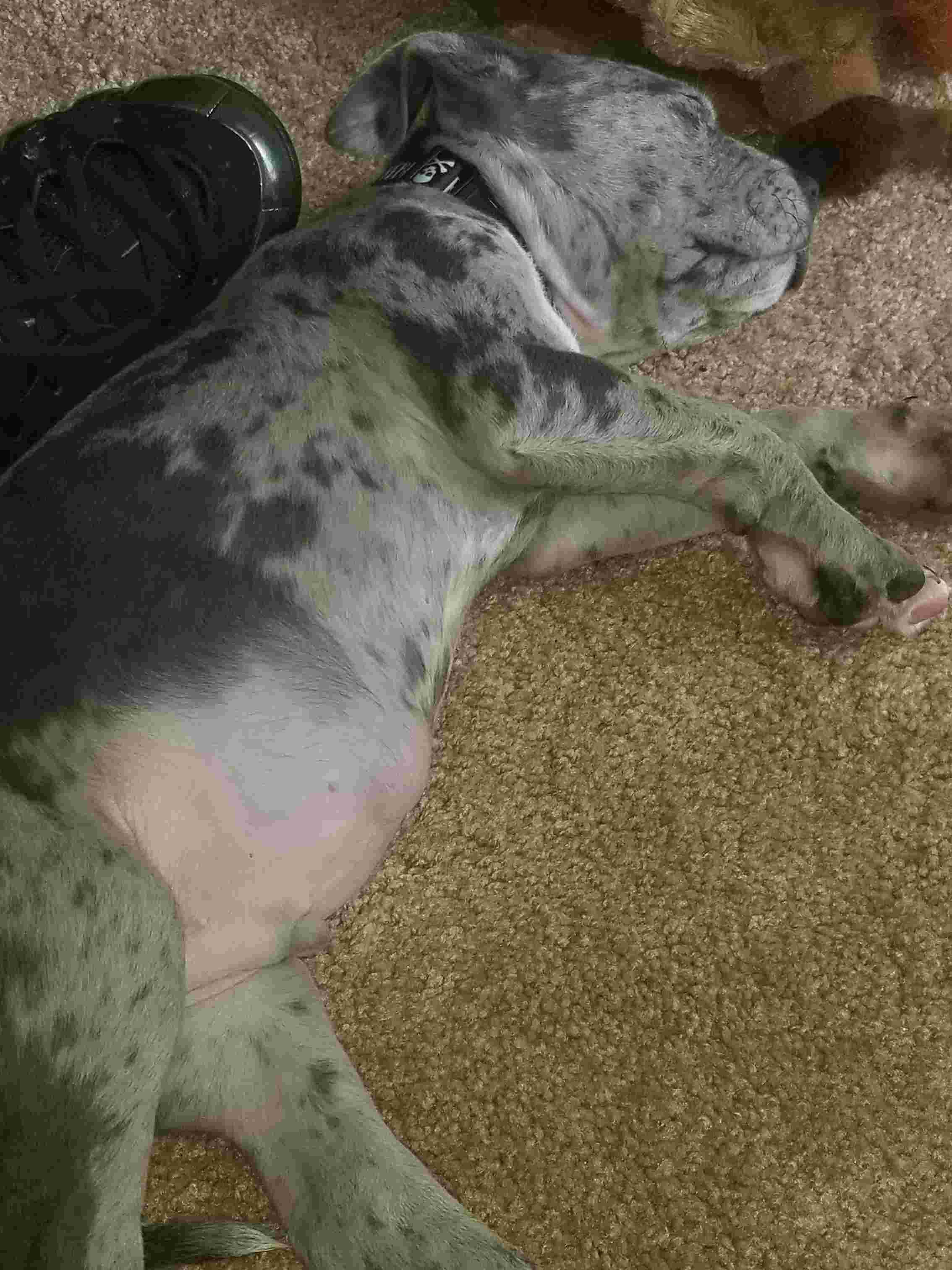 Question details sensitive content