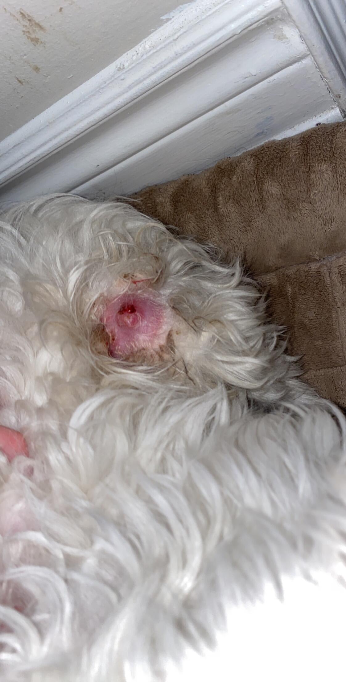 Question details sensitive content