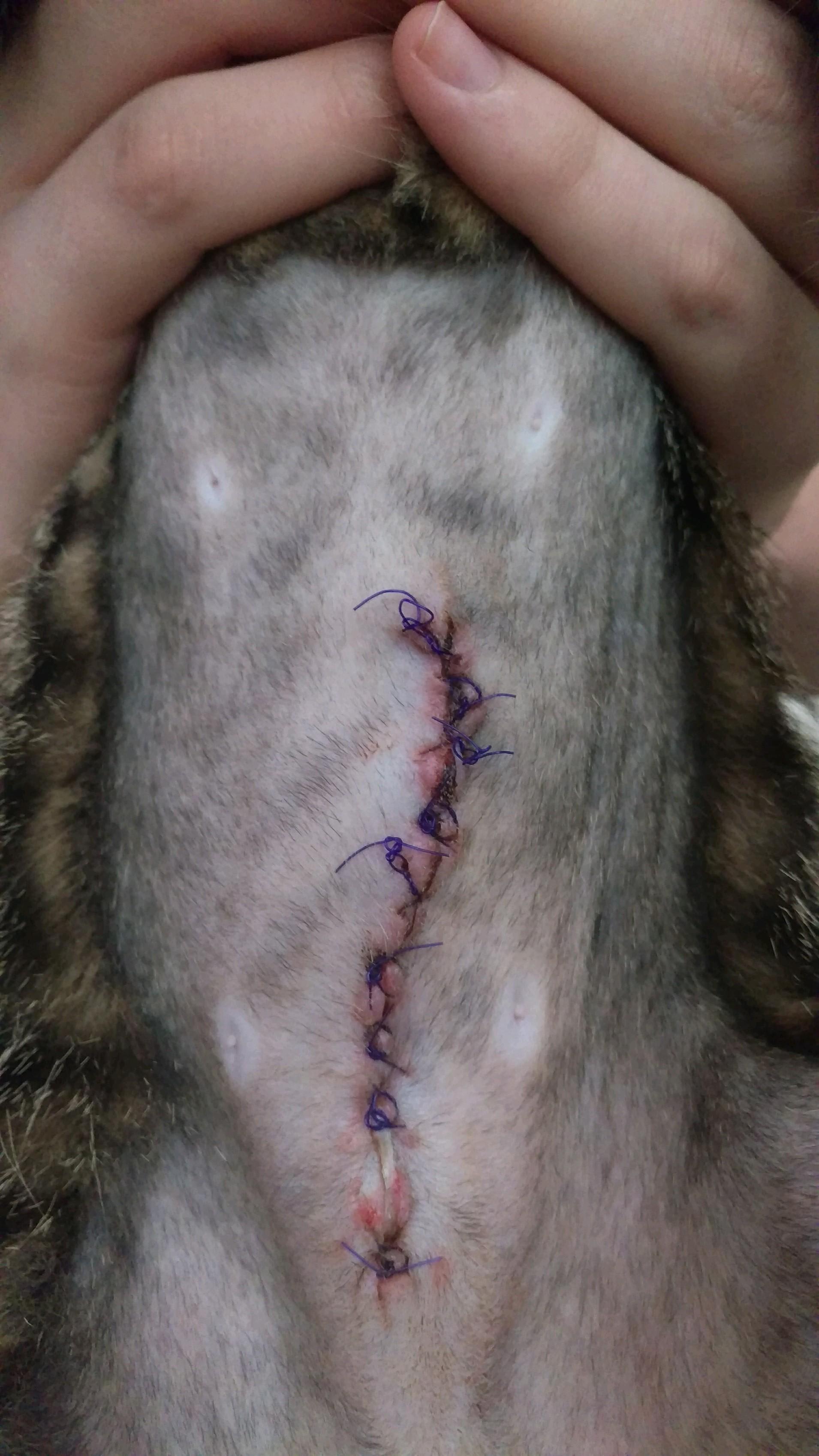 Question details sensitive content