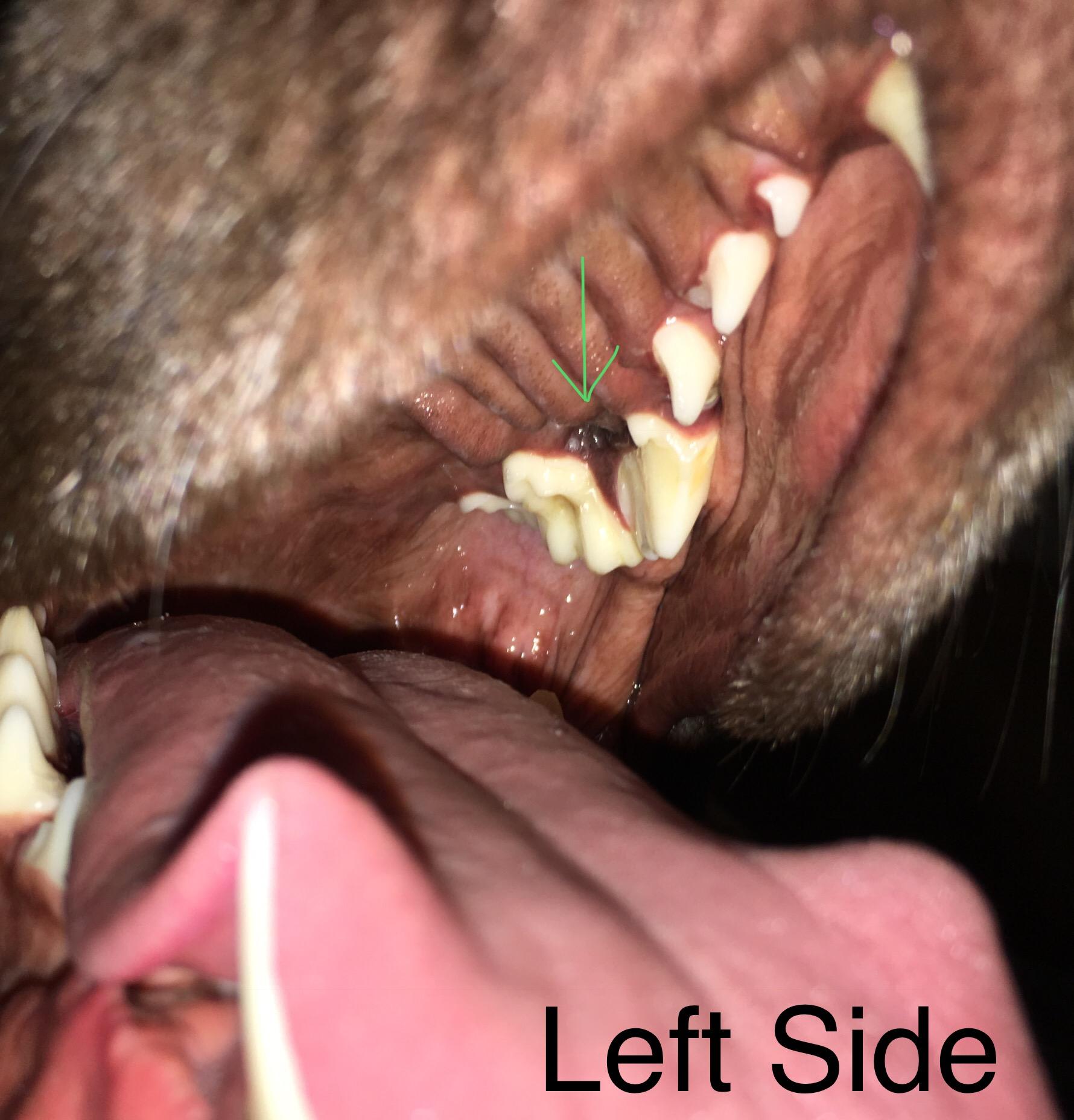 Question details sensitive content