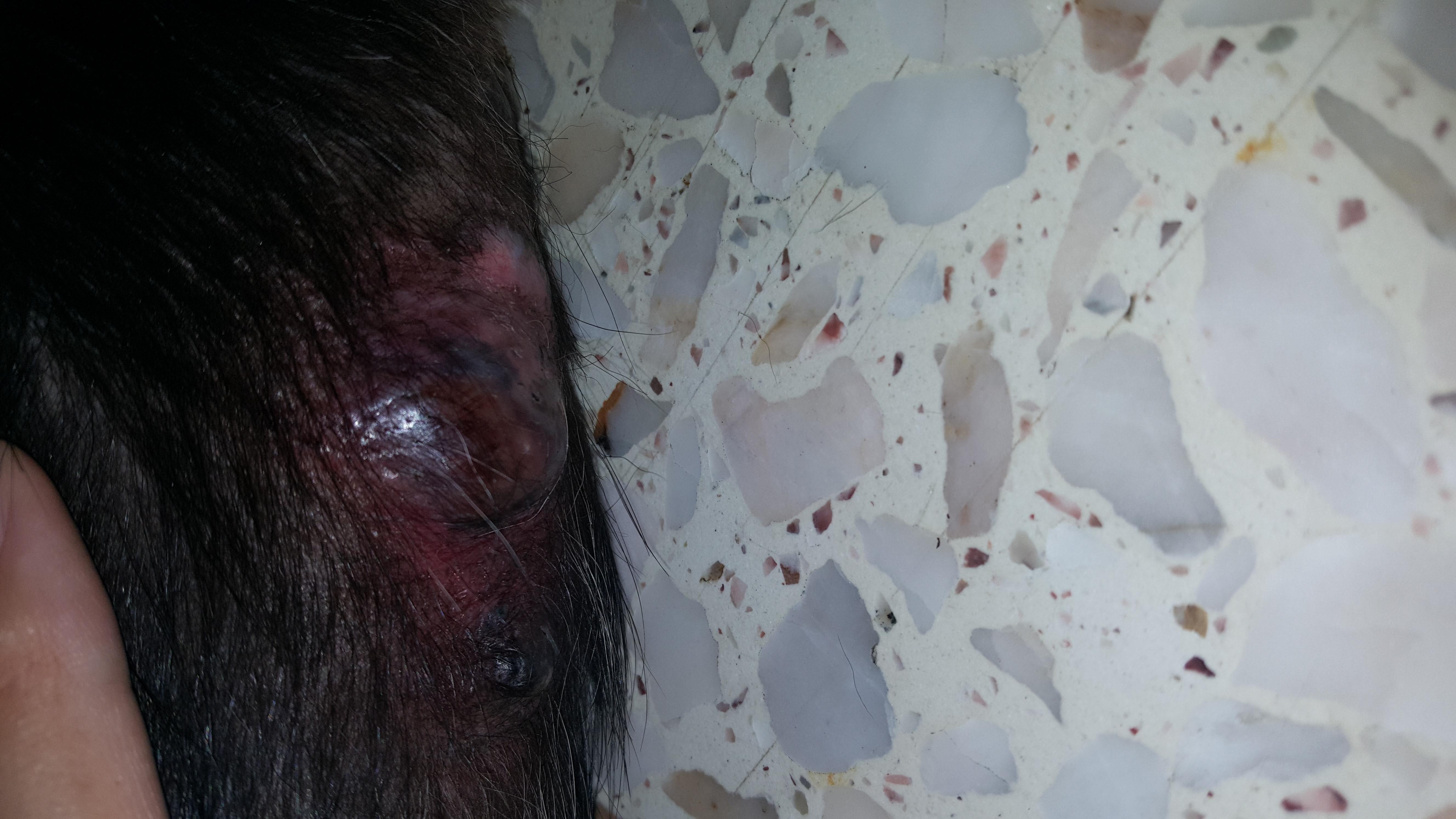 Question details sensitive content