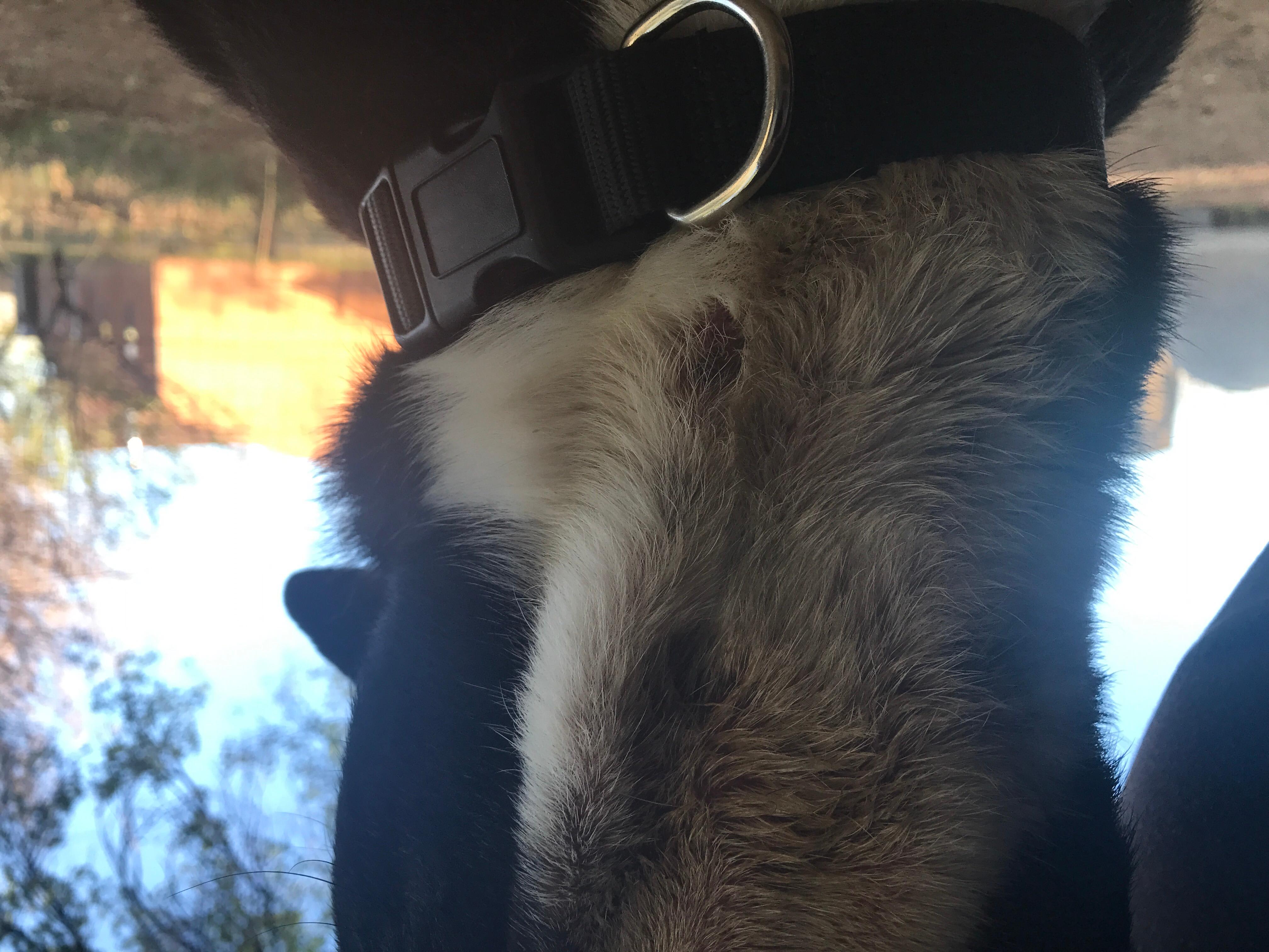 Question details sensitive content