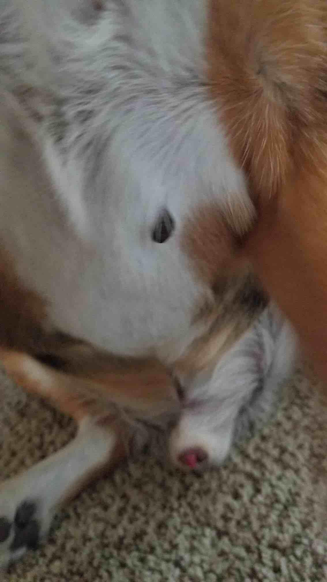 Question details sensitive content