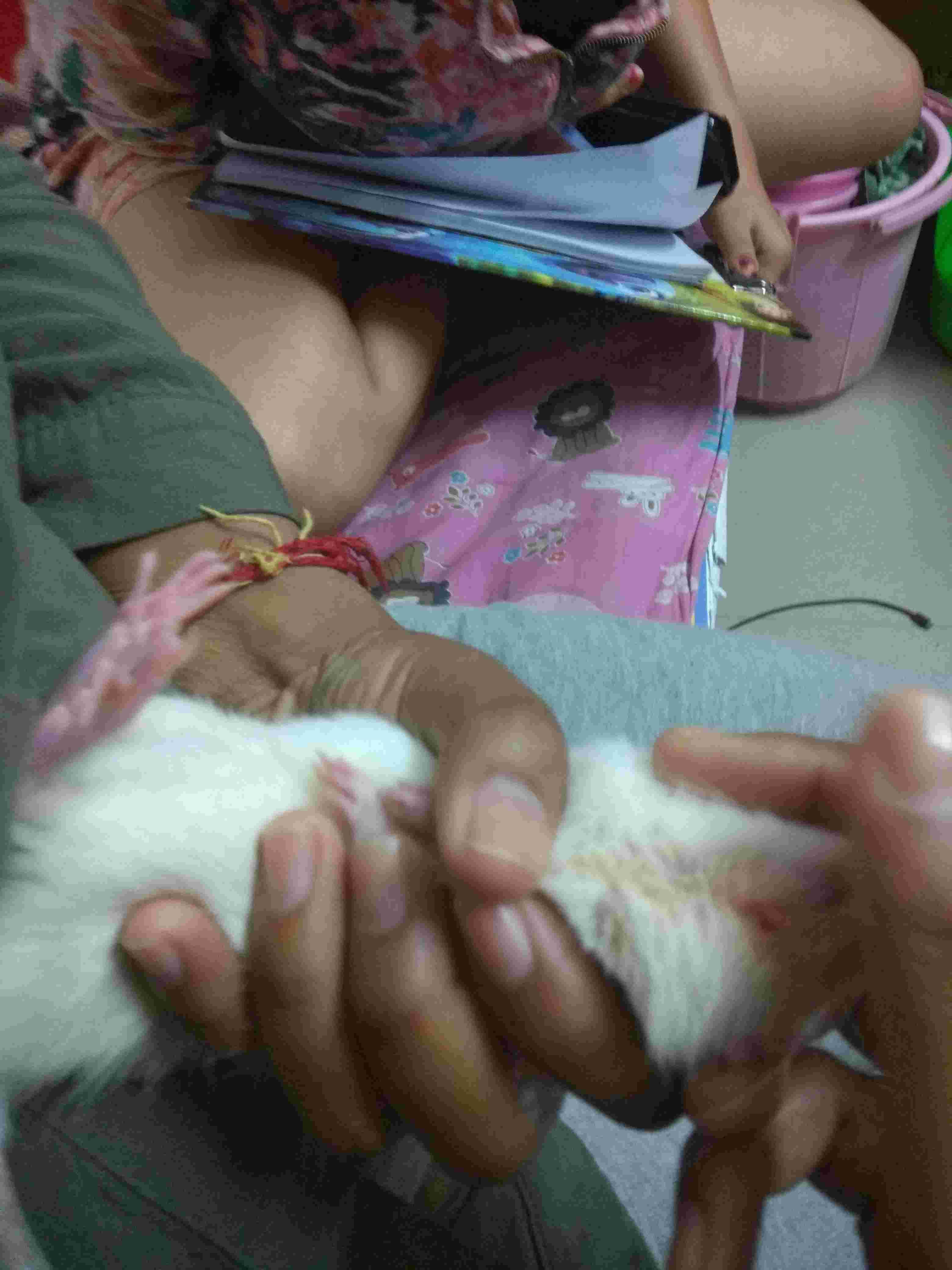 Question details sensitive content