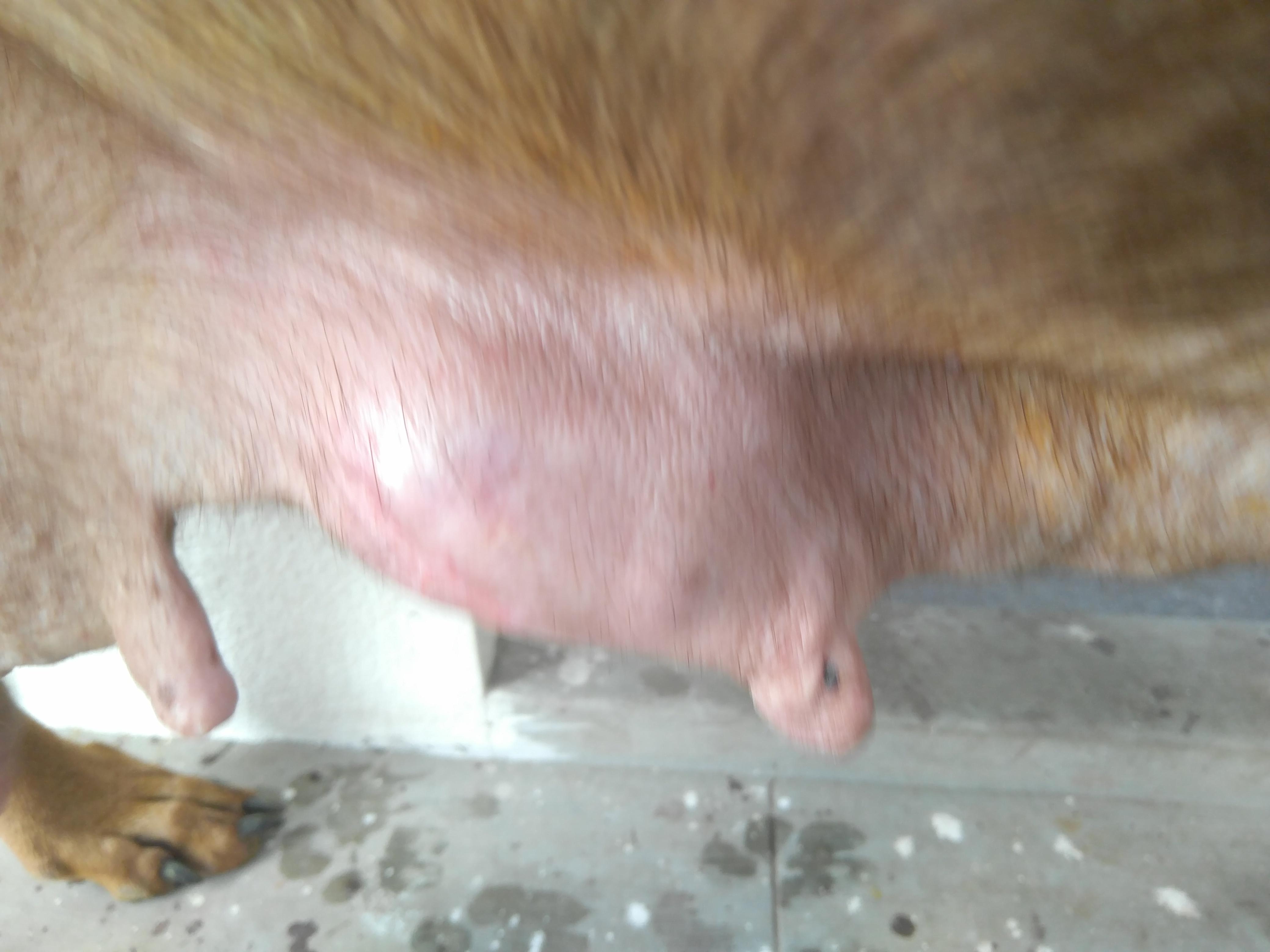 Question details sensitive content