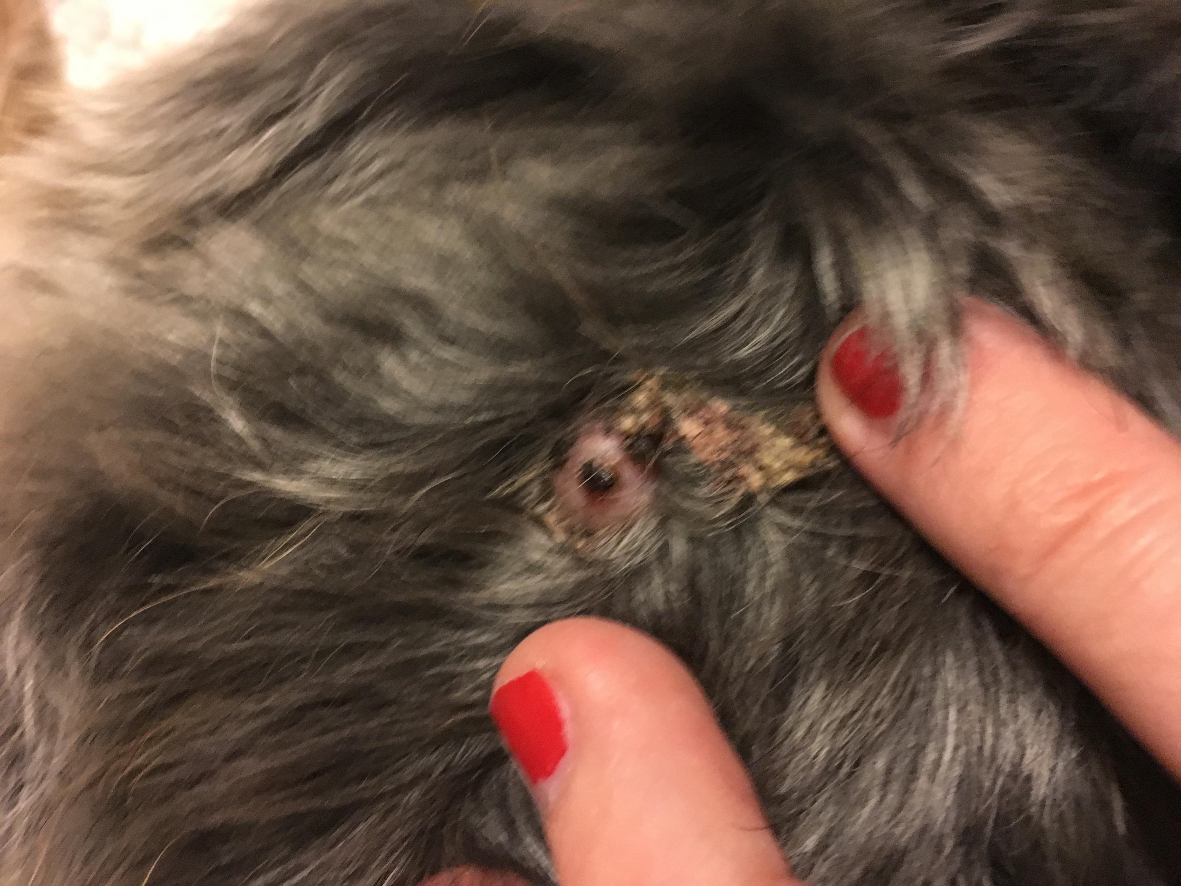 Question details sensitive content