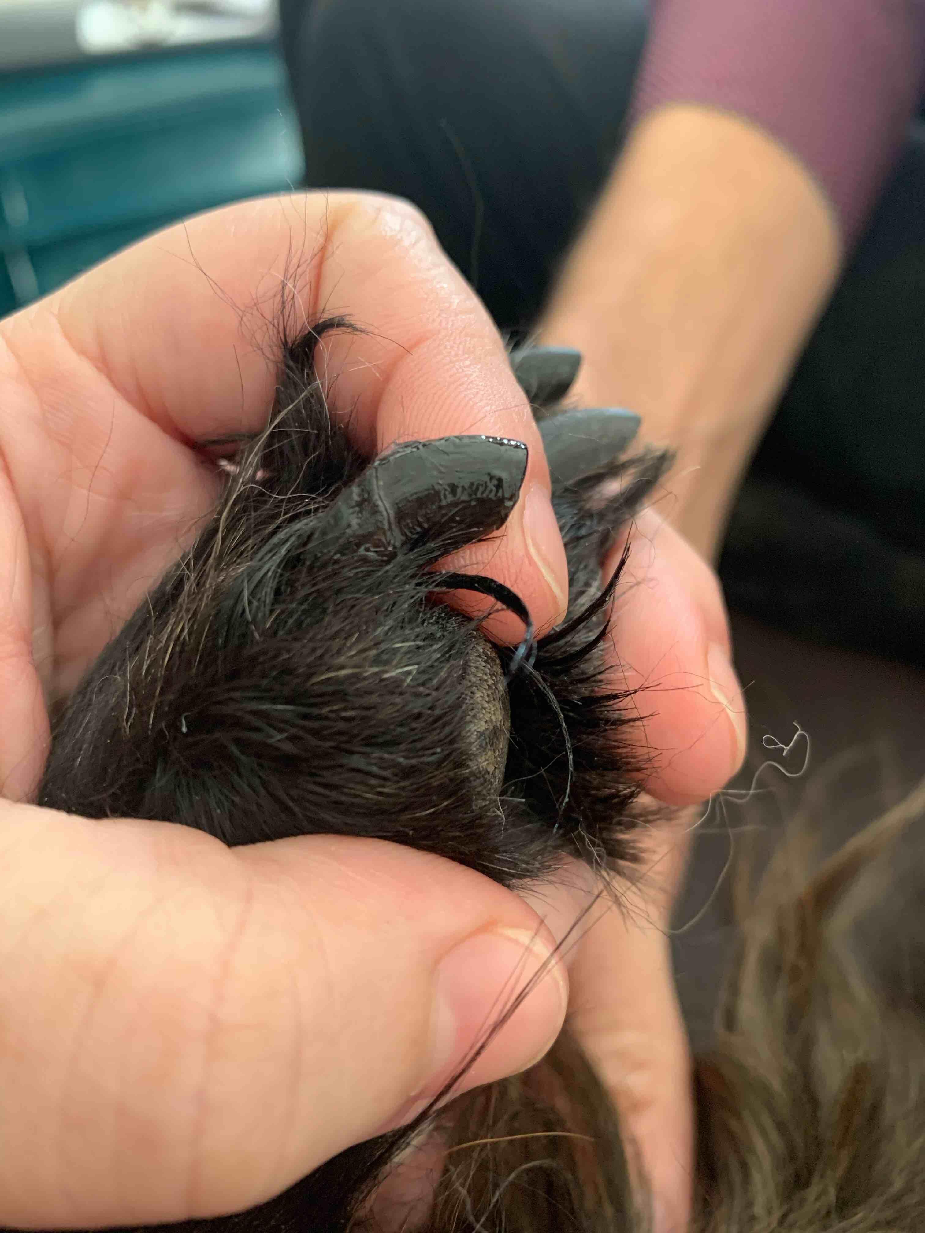 Question details sensitive content