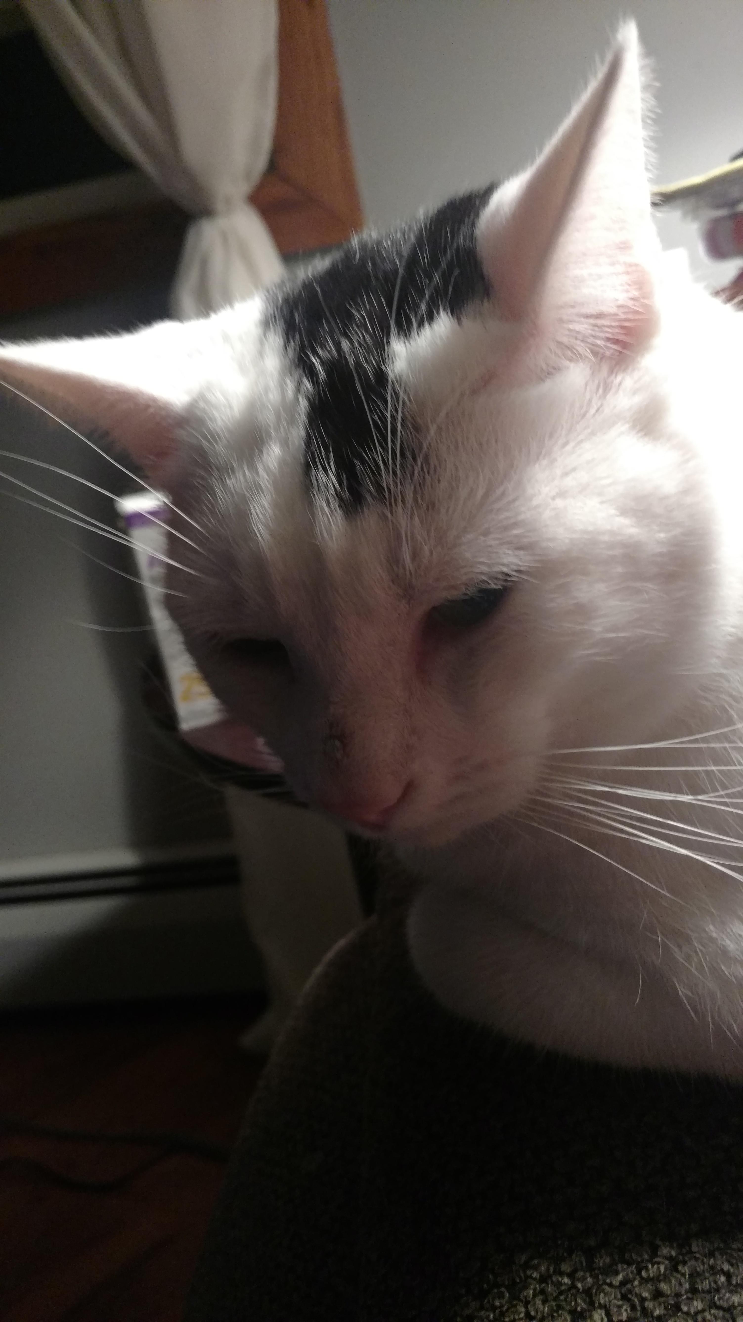 Question details sensitive content