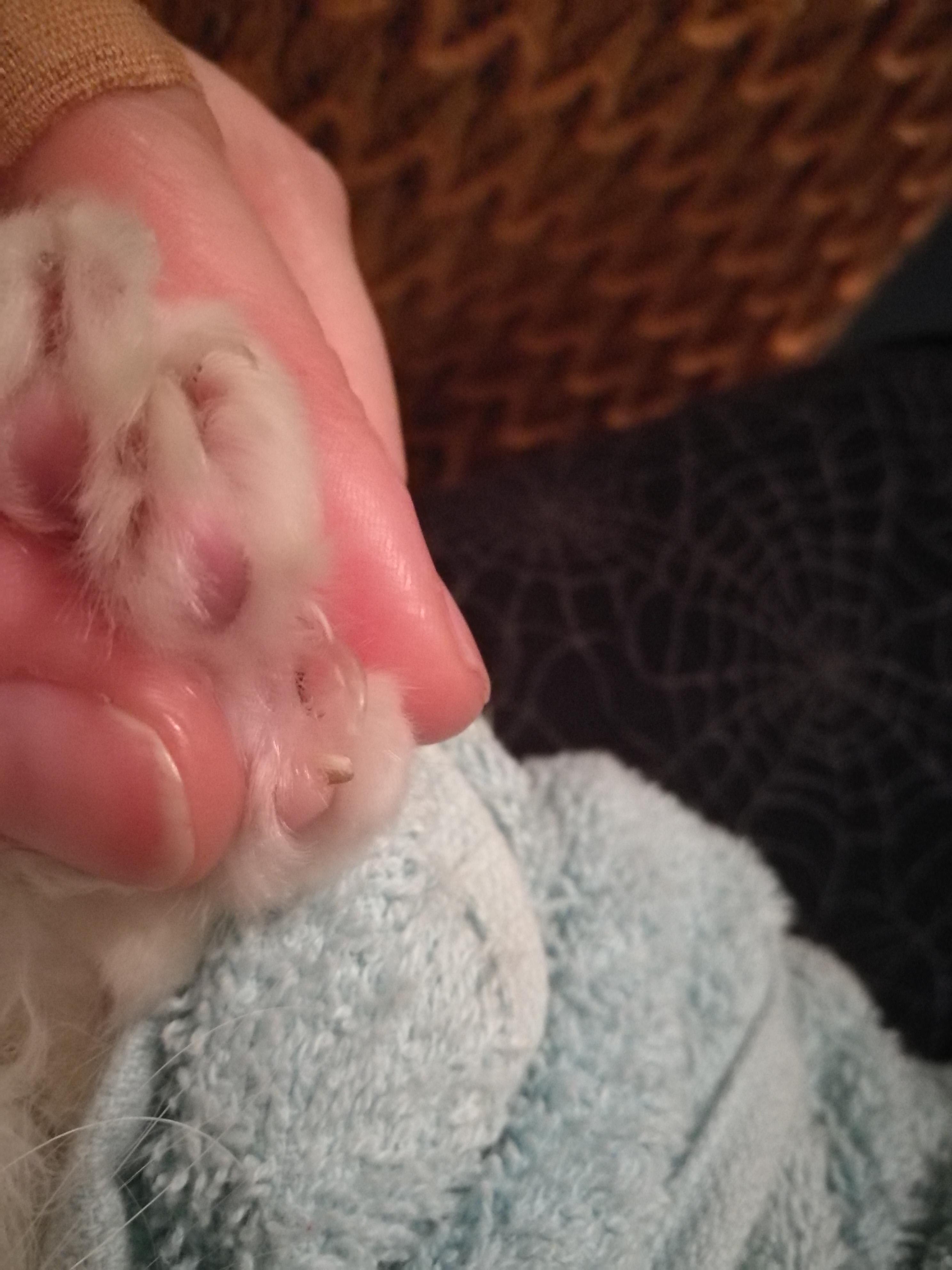 Question details sensitive content