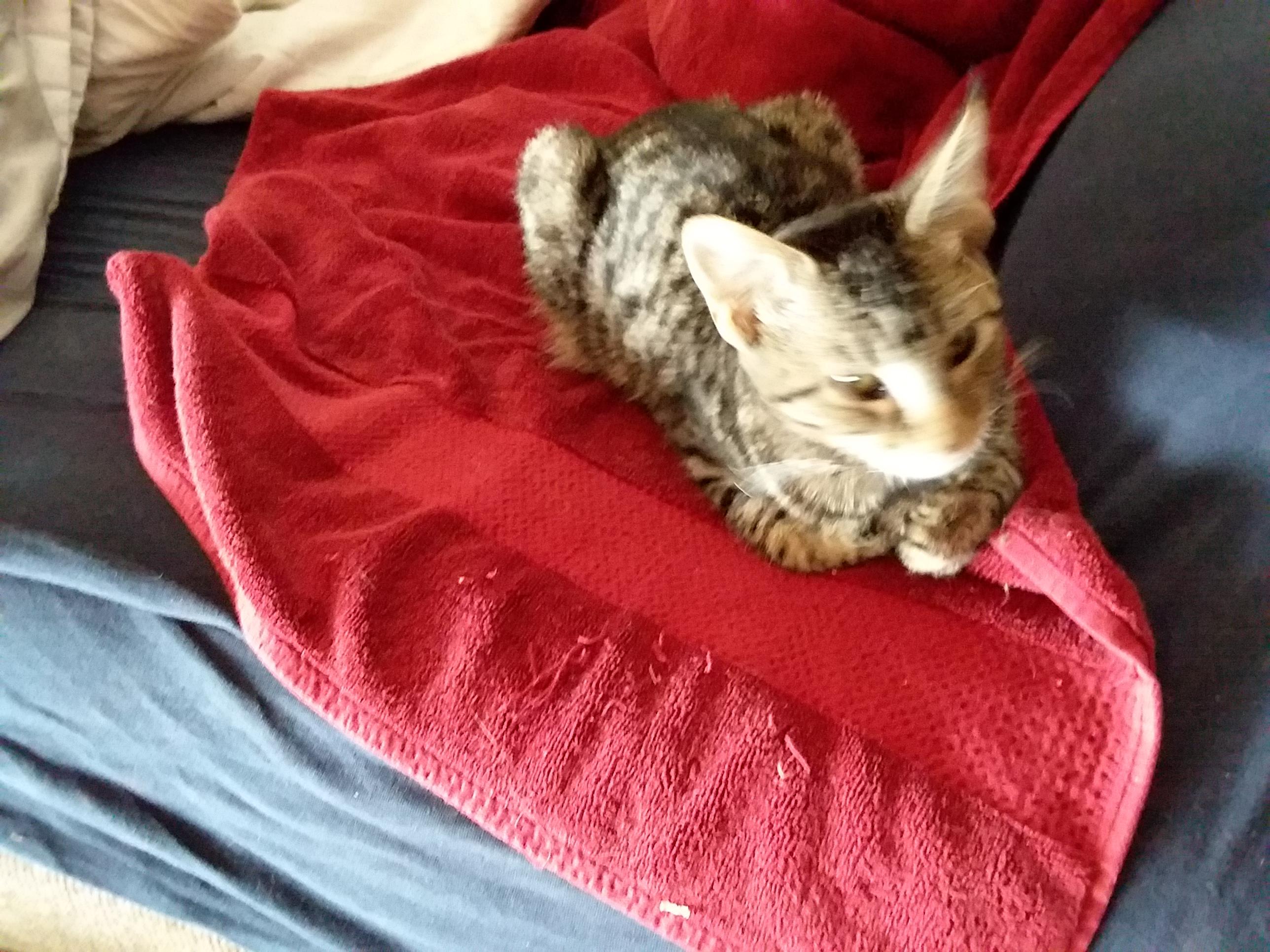 Question details sensitive content