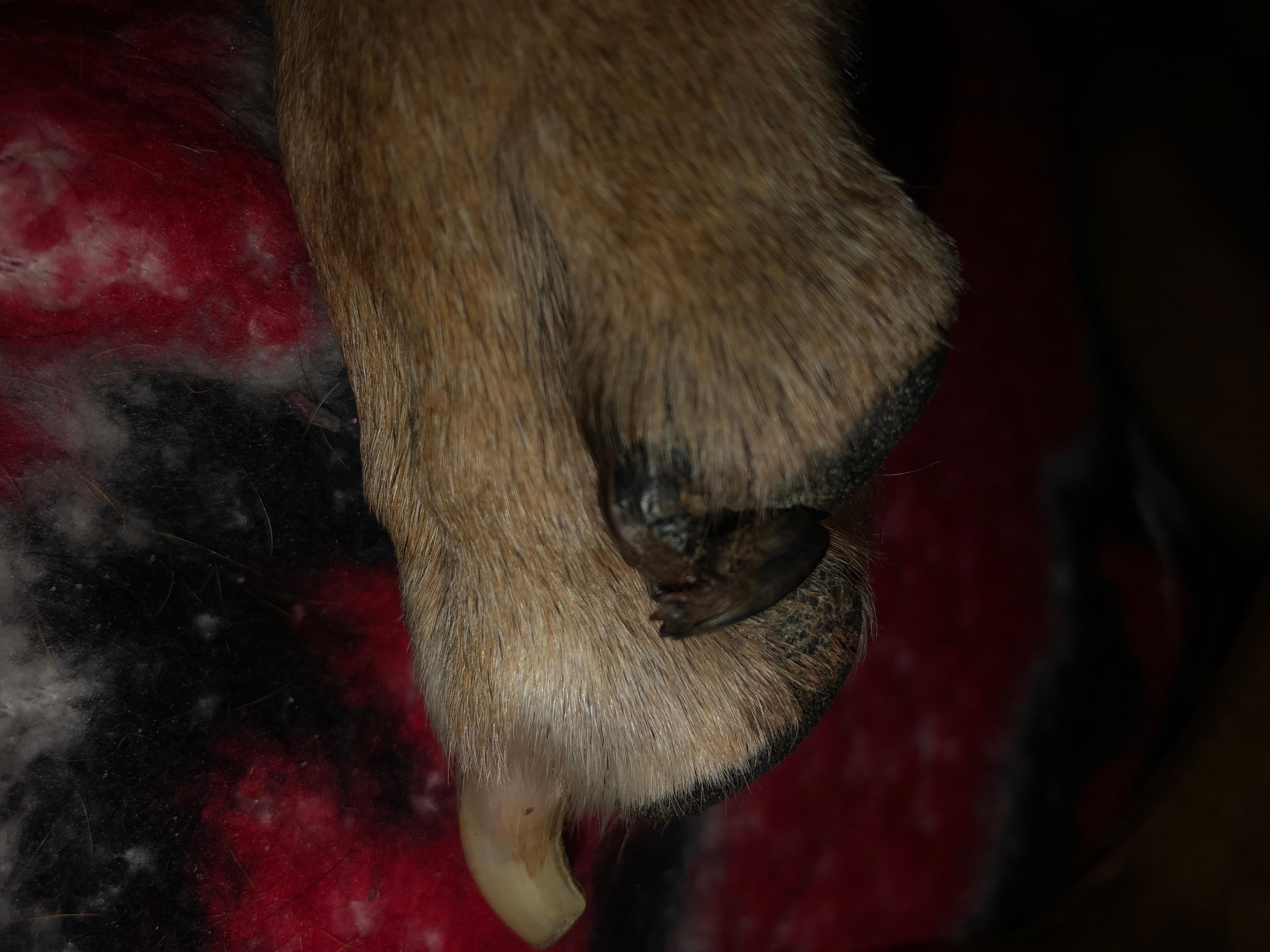 Question details sensitive content