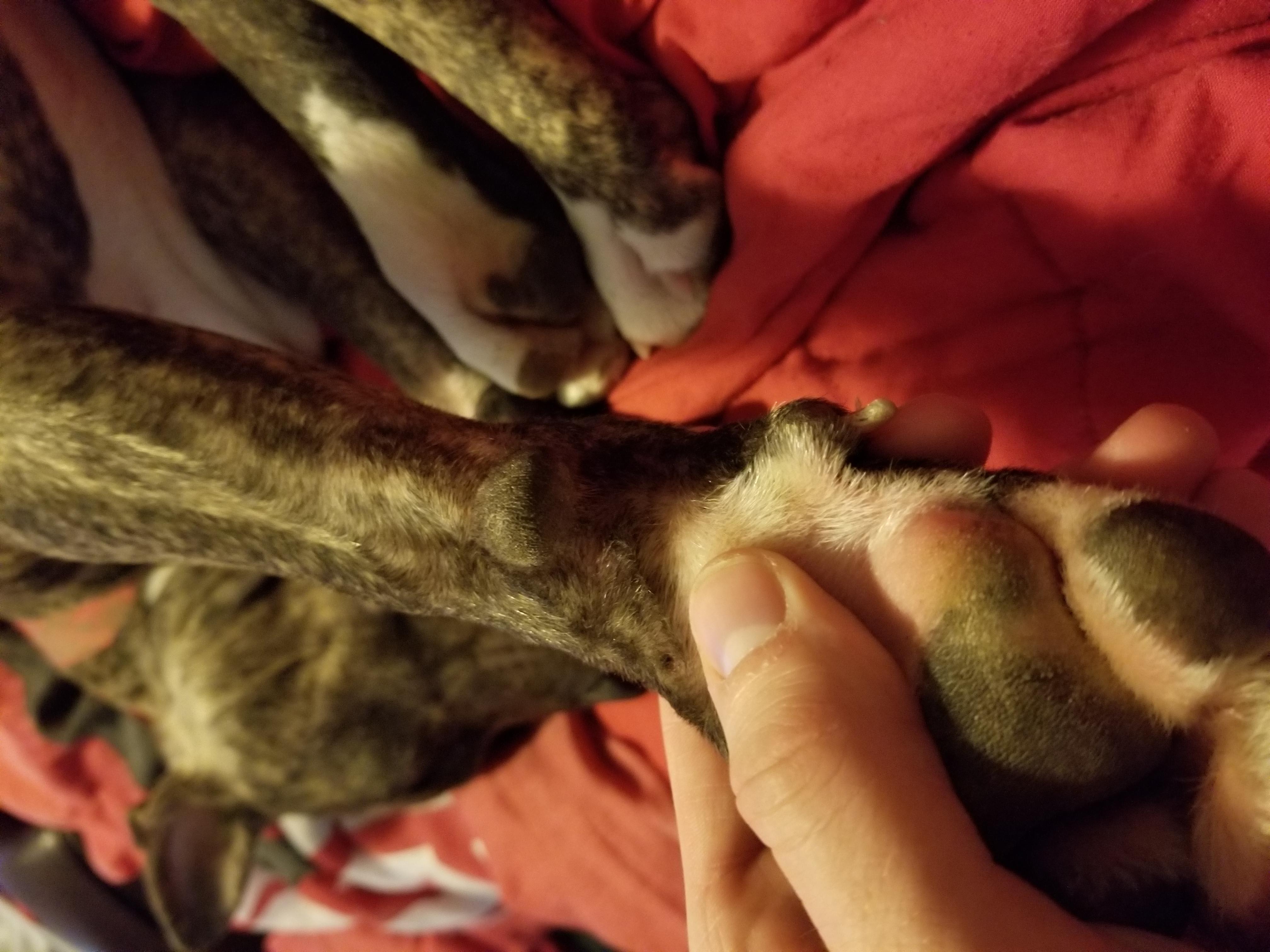 Question details sensitive content