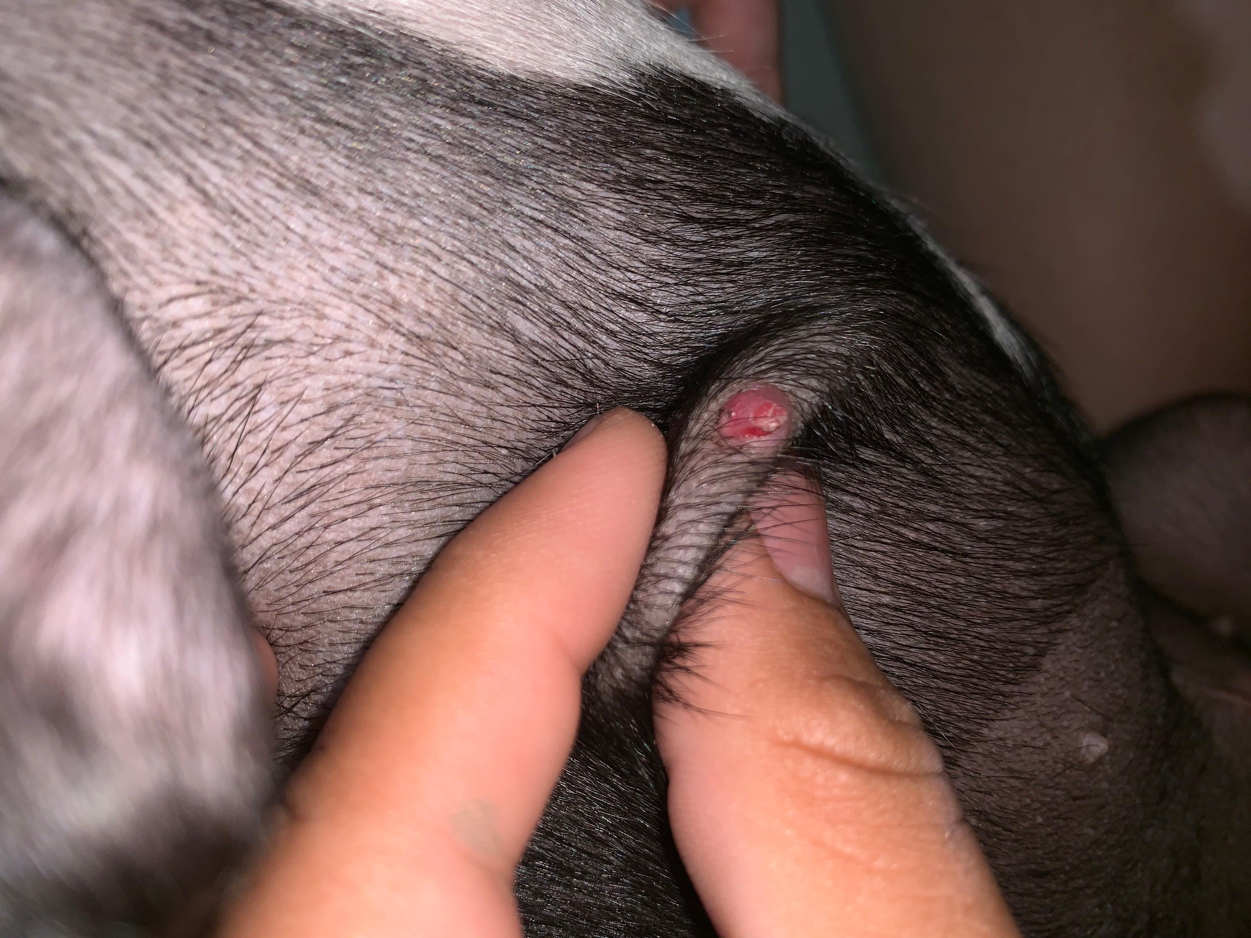 Question details sensitive content