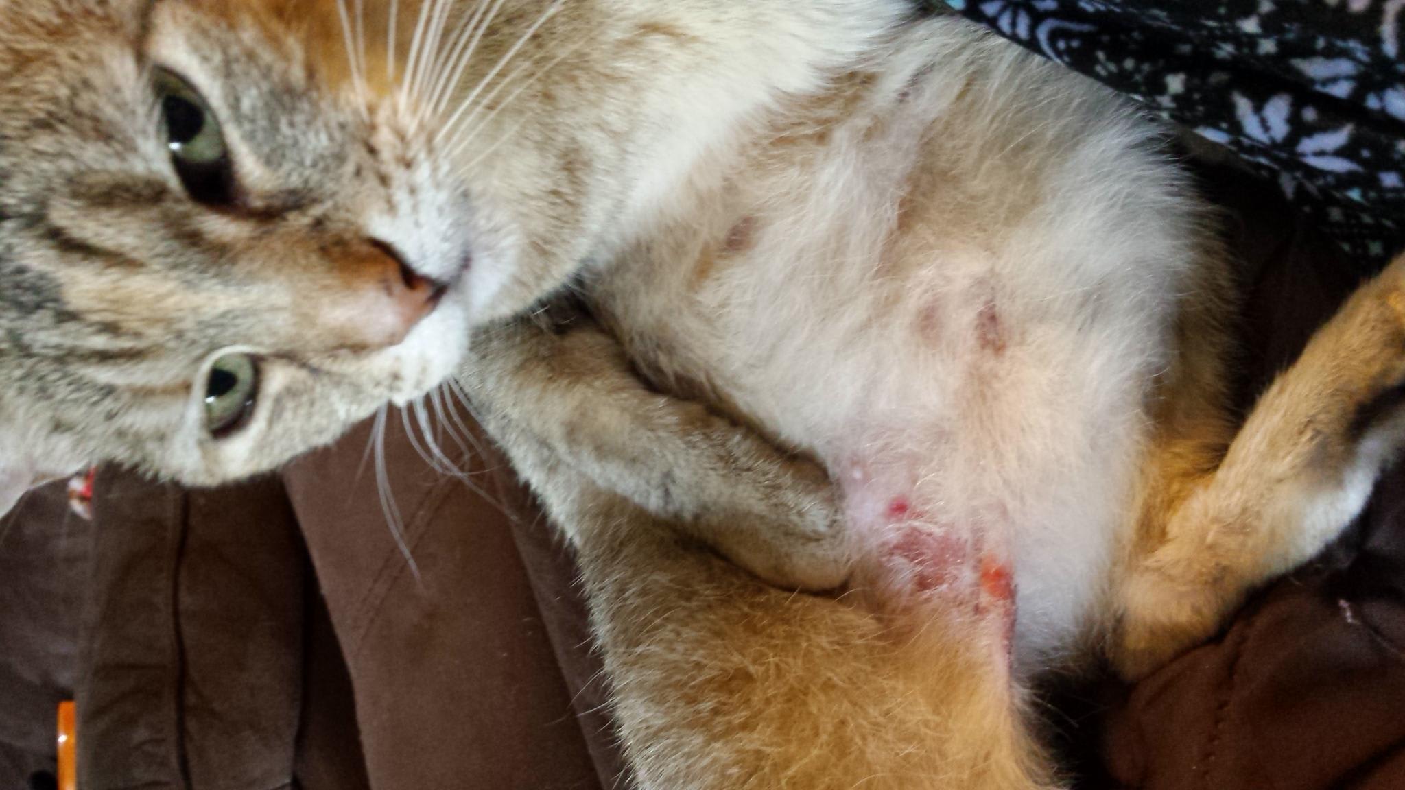 Question details sensitive content