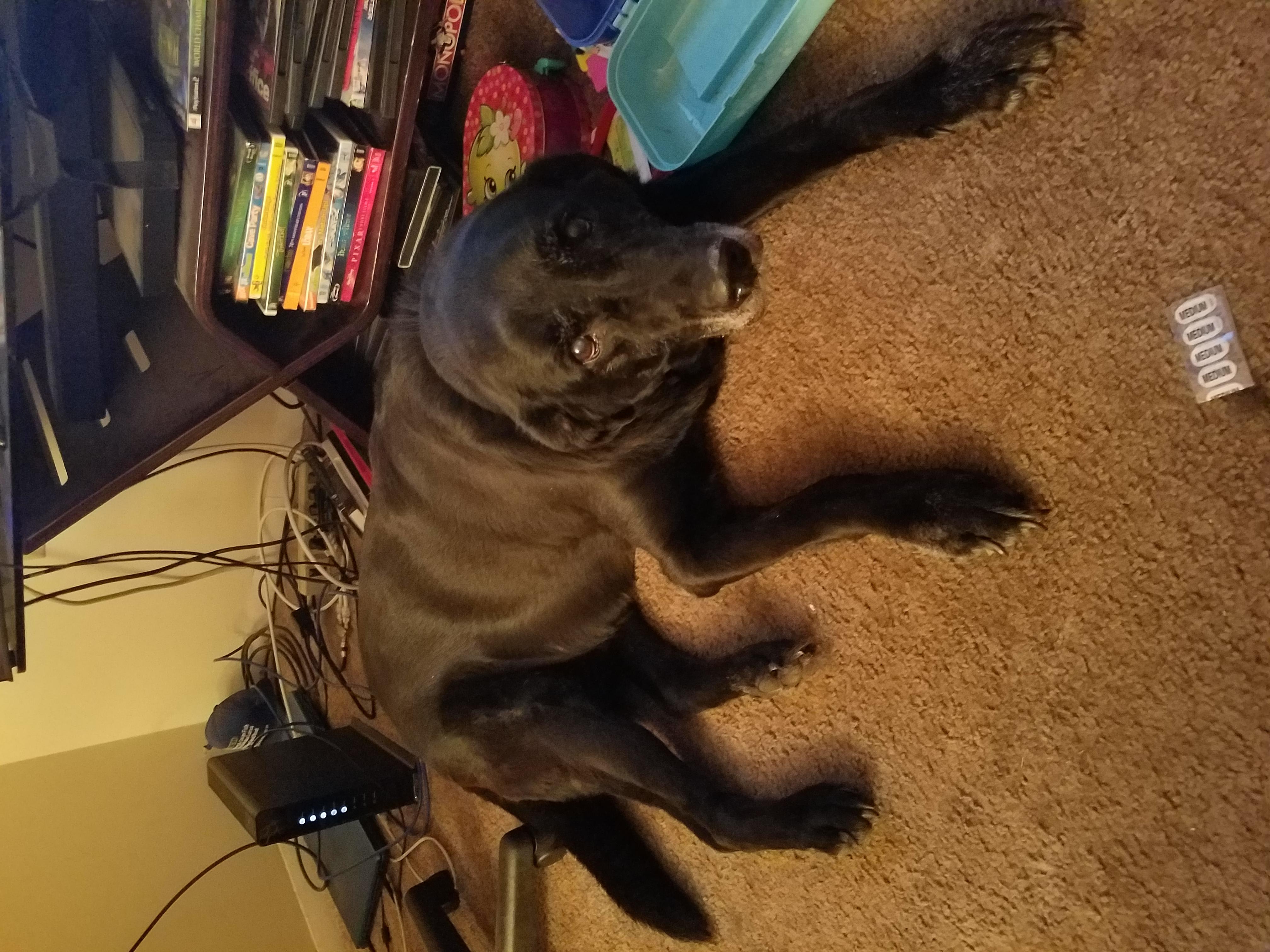 Question details sensitive content