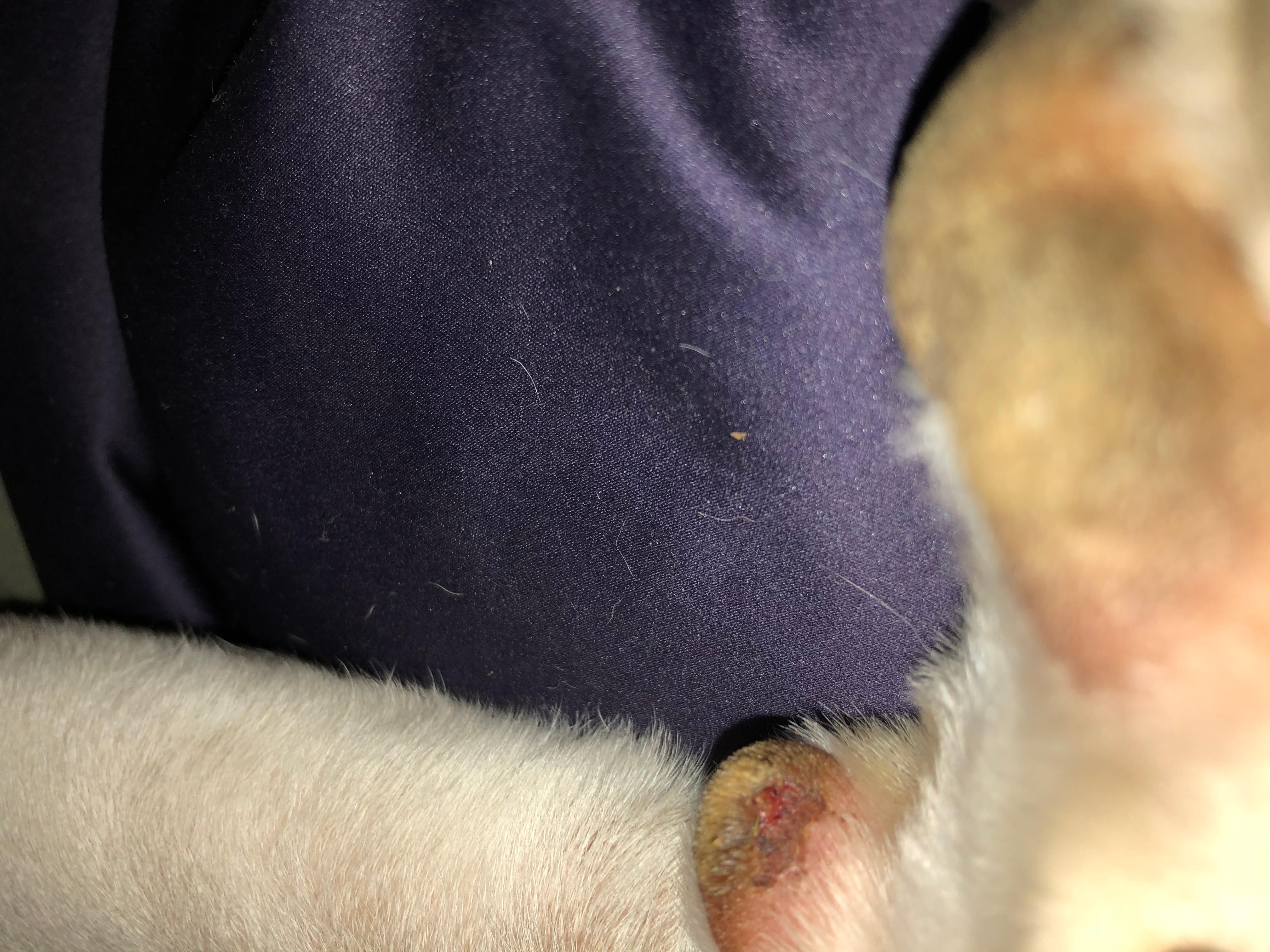 Question details sensitive content