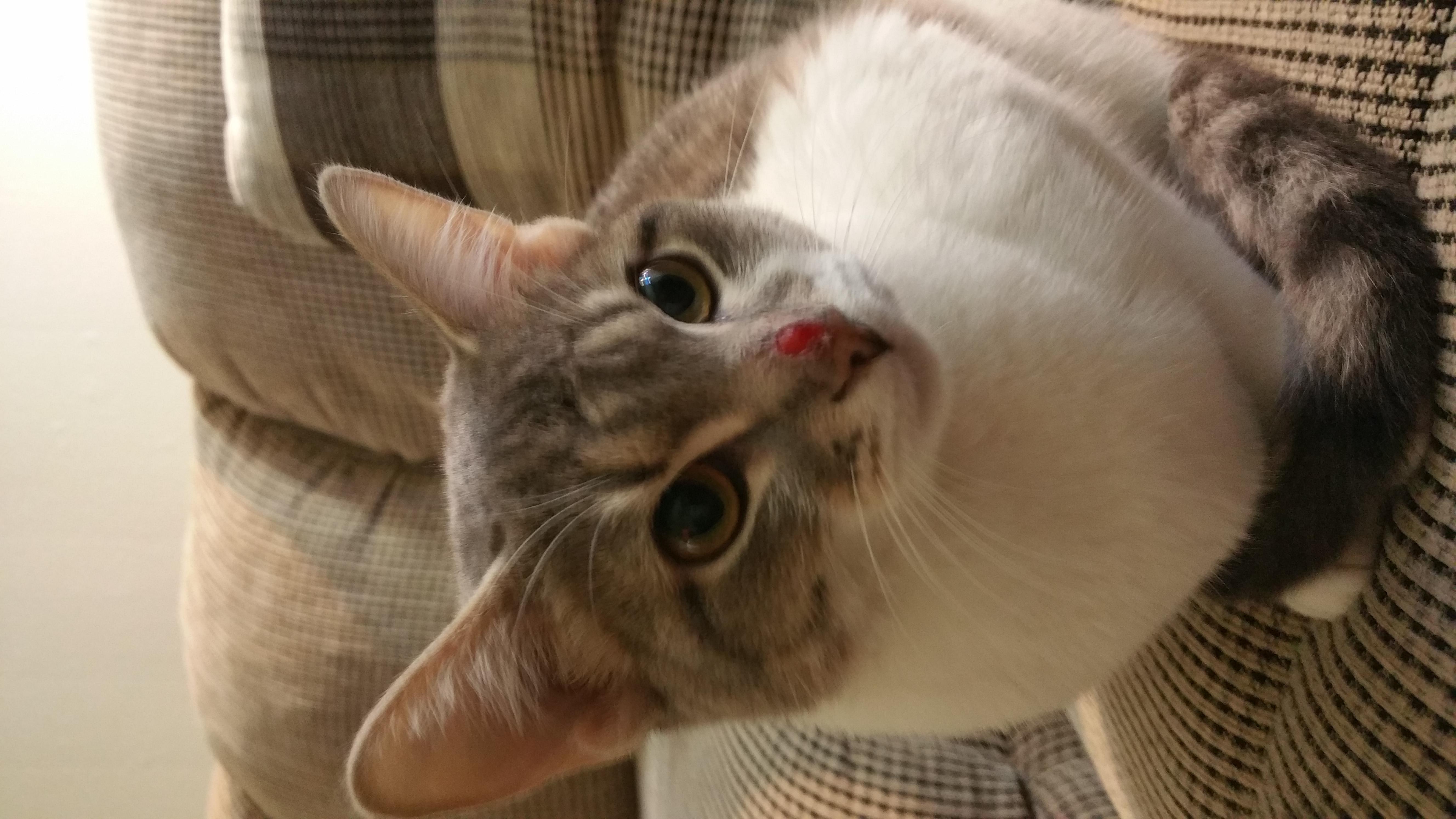 Question details sensitive content