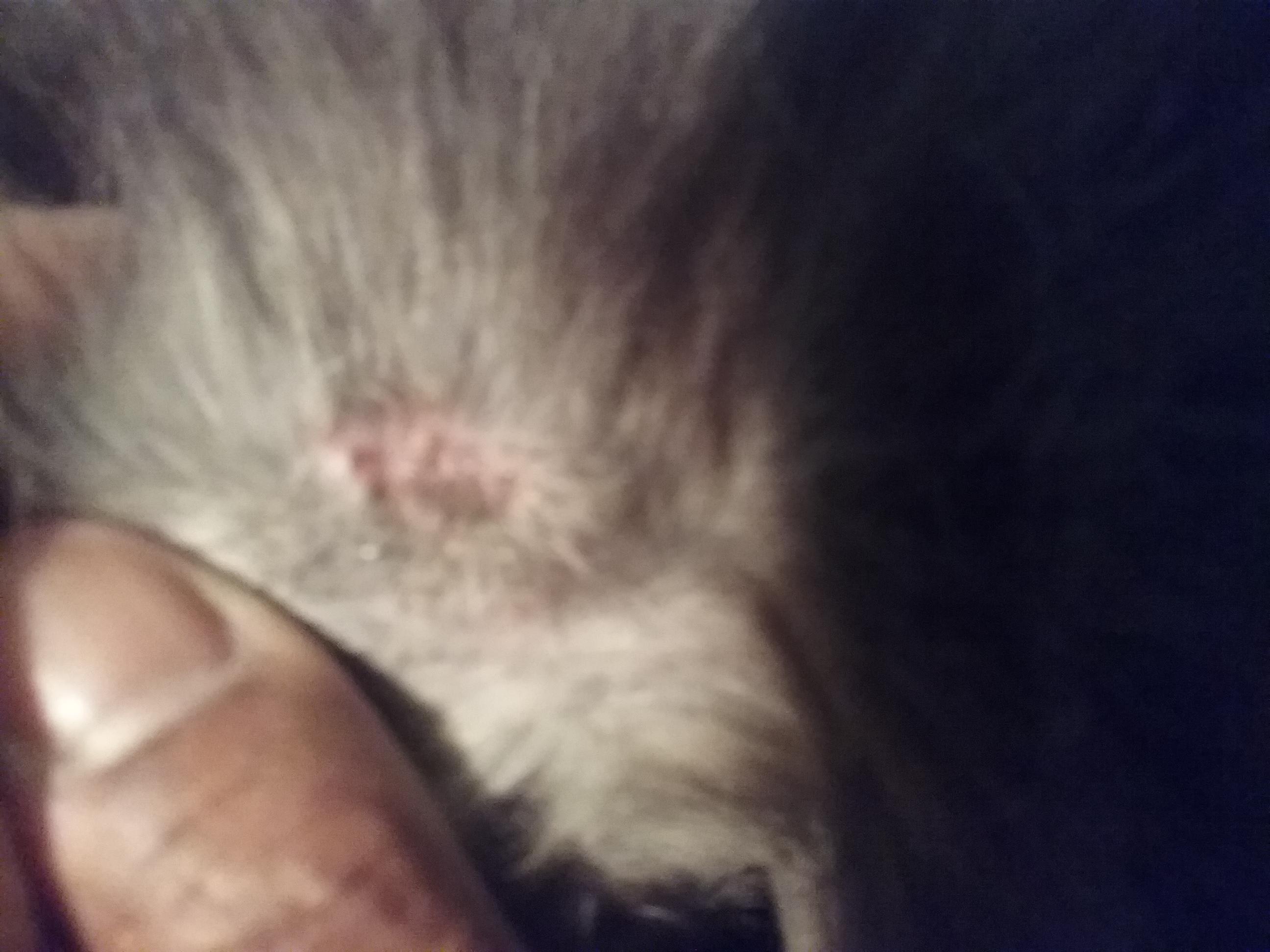 Question details sensitive content