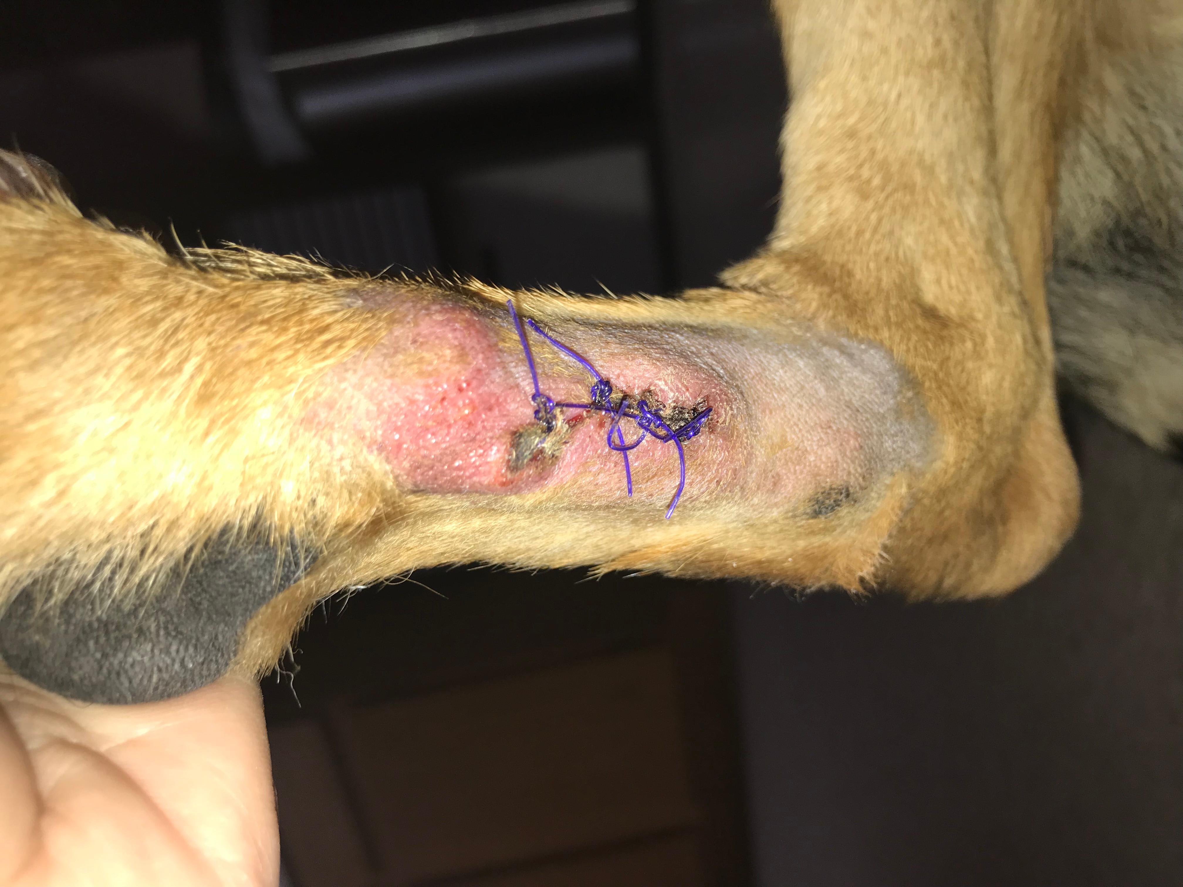 Question details sensitive content