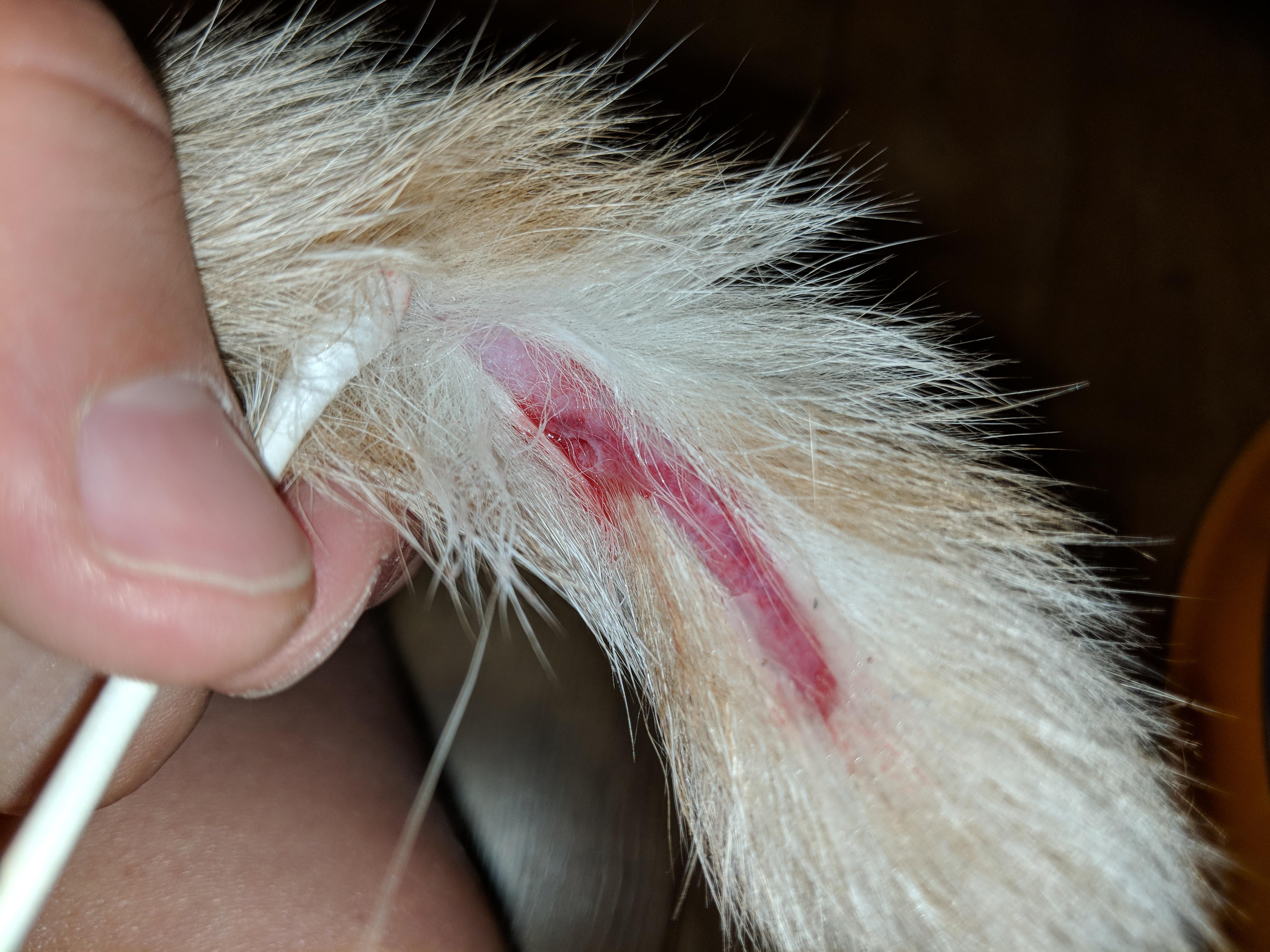 Question details sensitive content