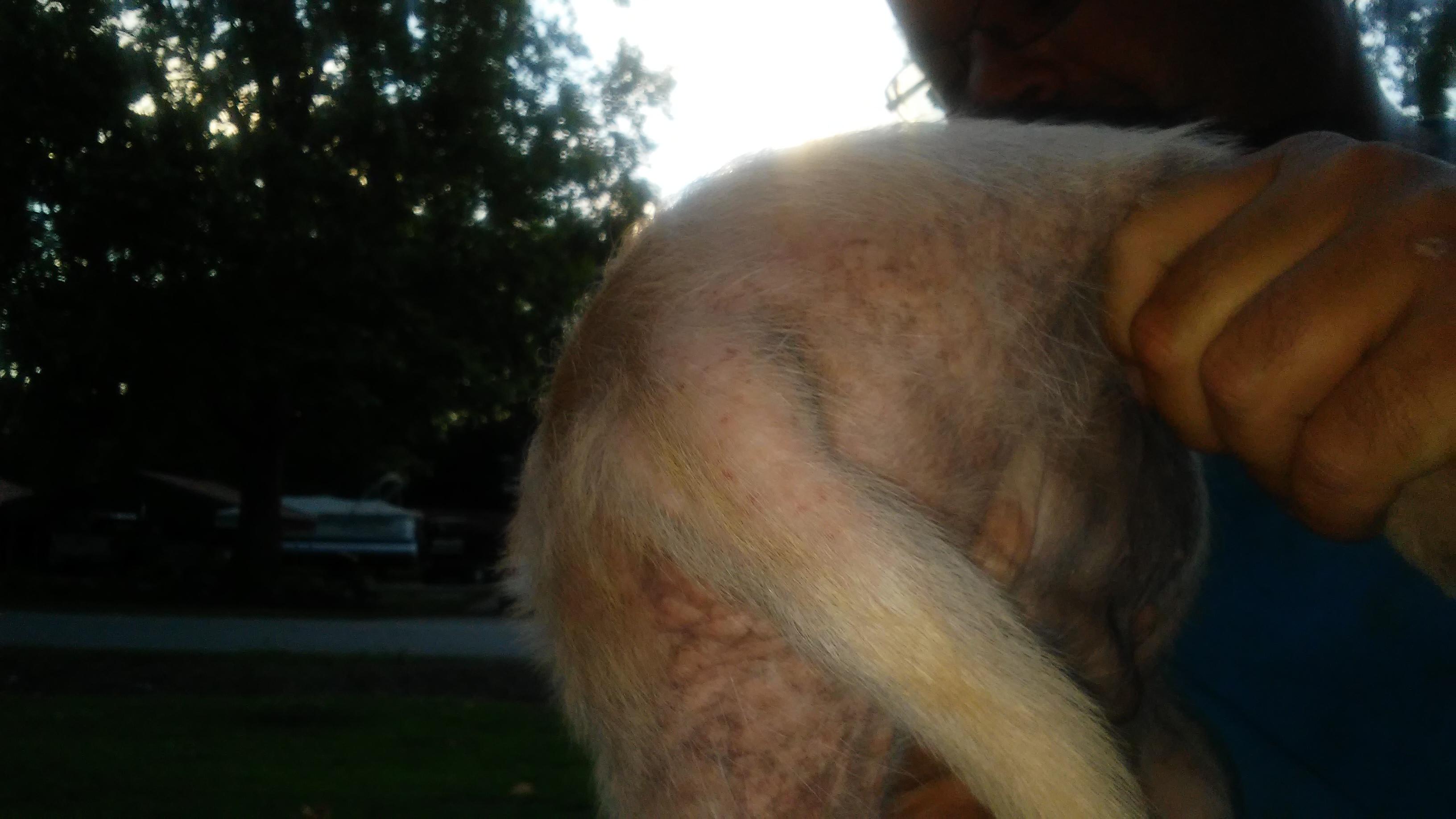 Question details sensitive content