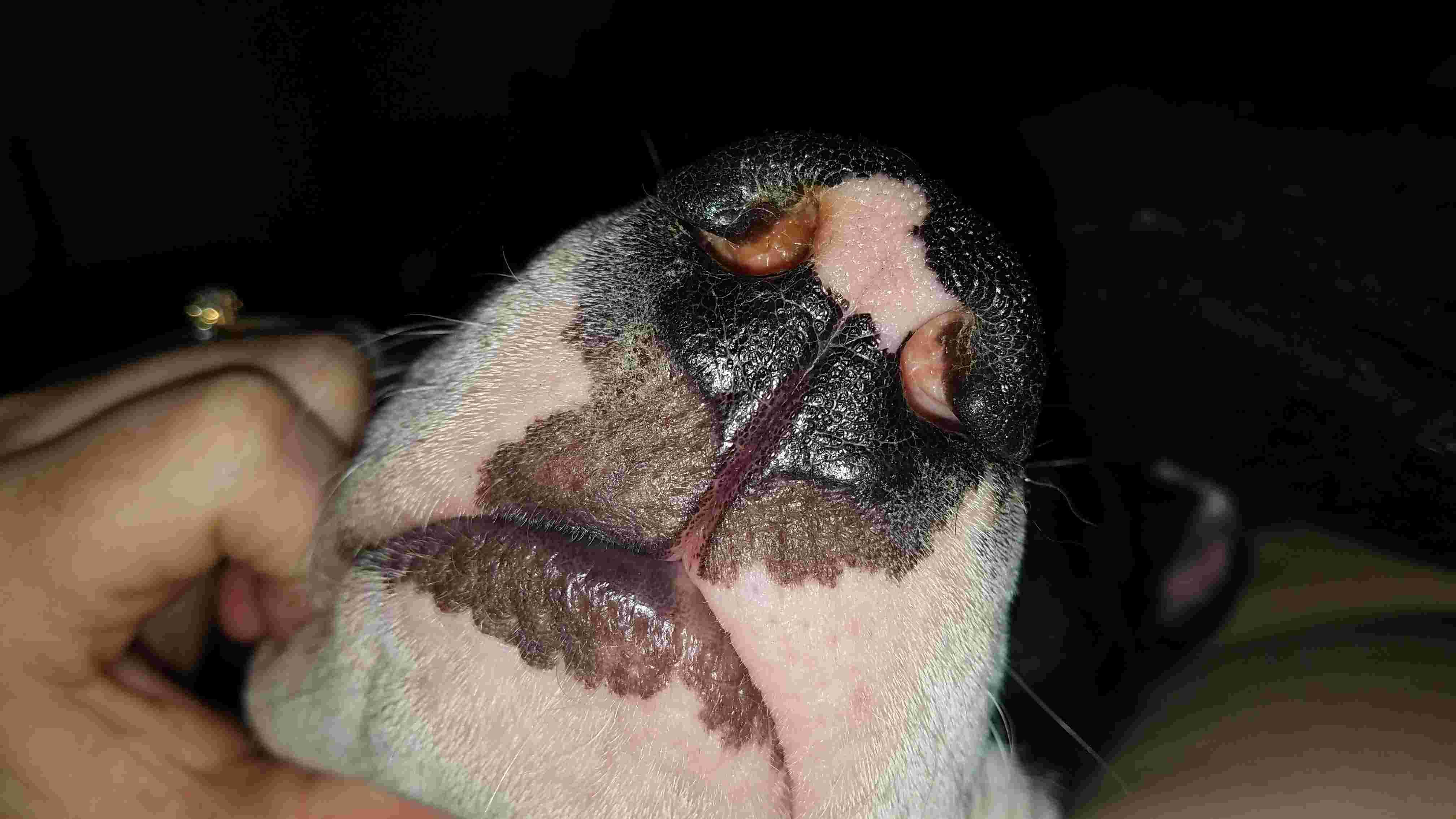 Question details sensitive content