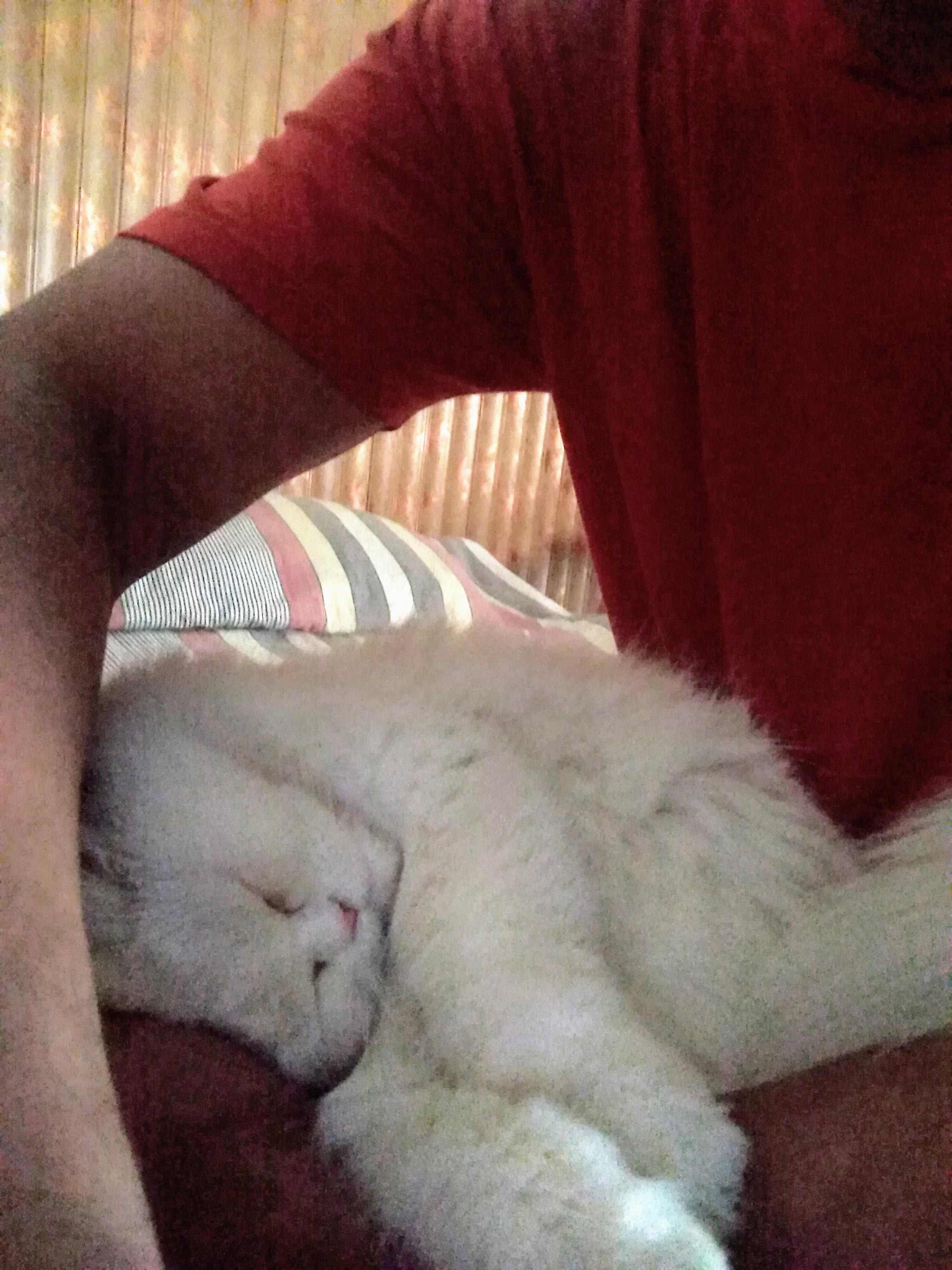 Question details sensitive content