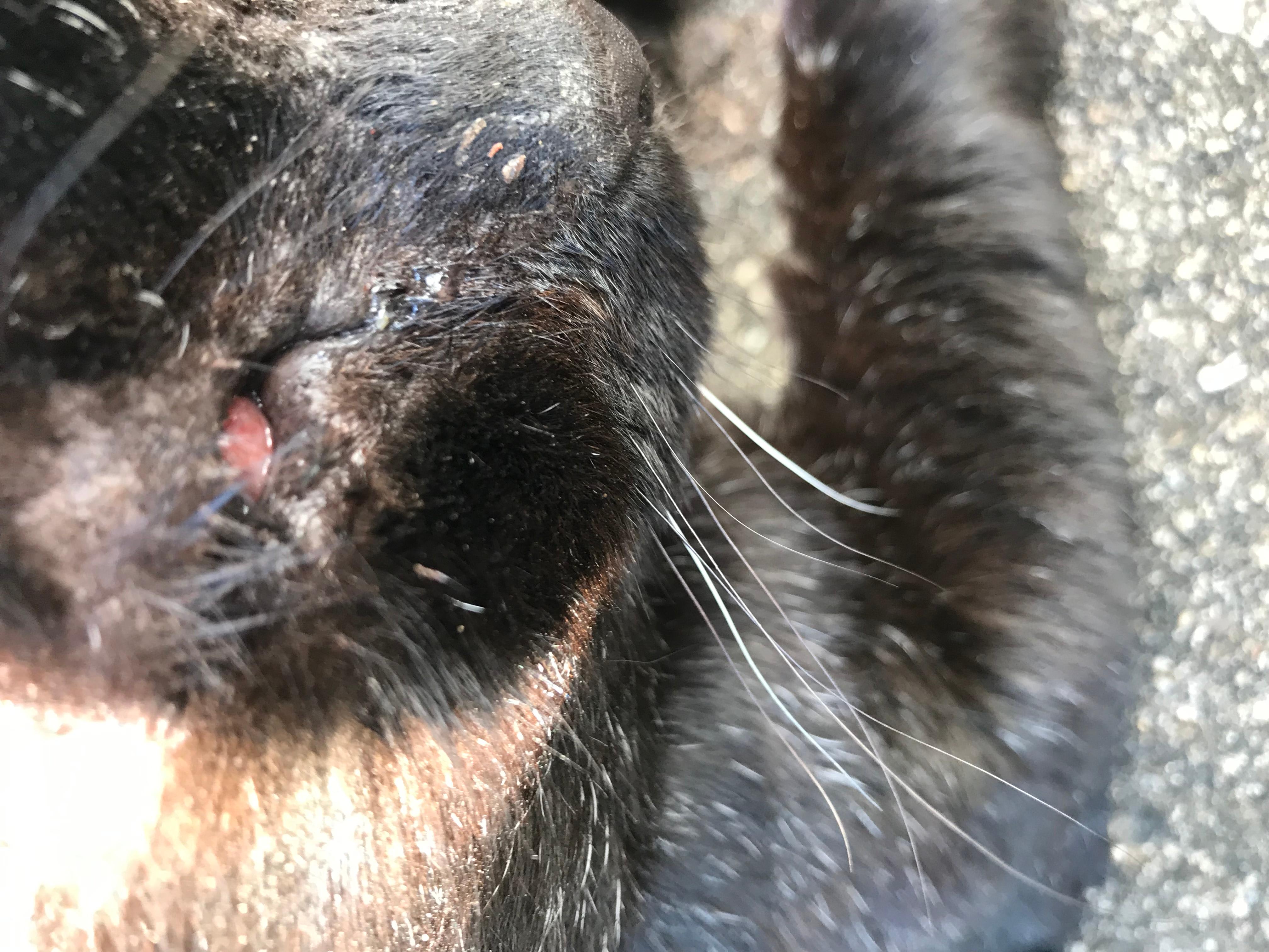 Question details sensitive content