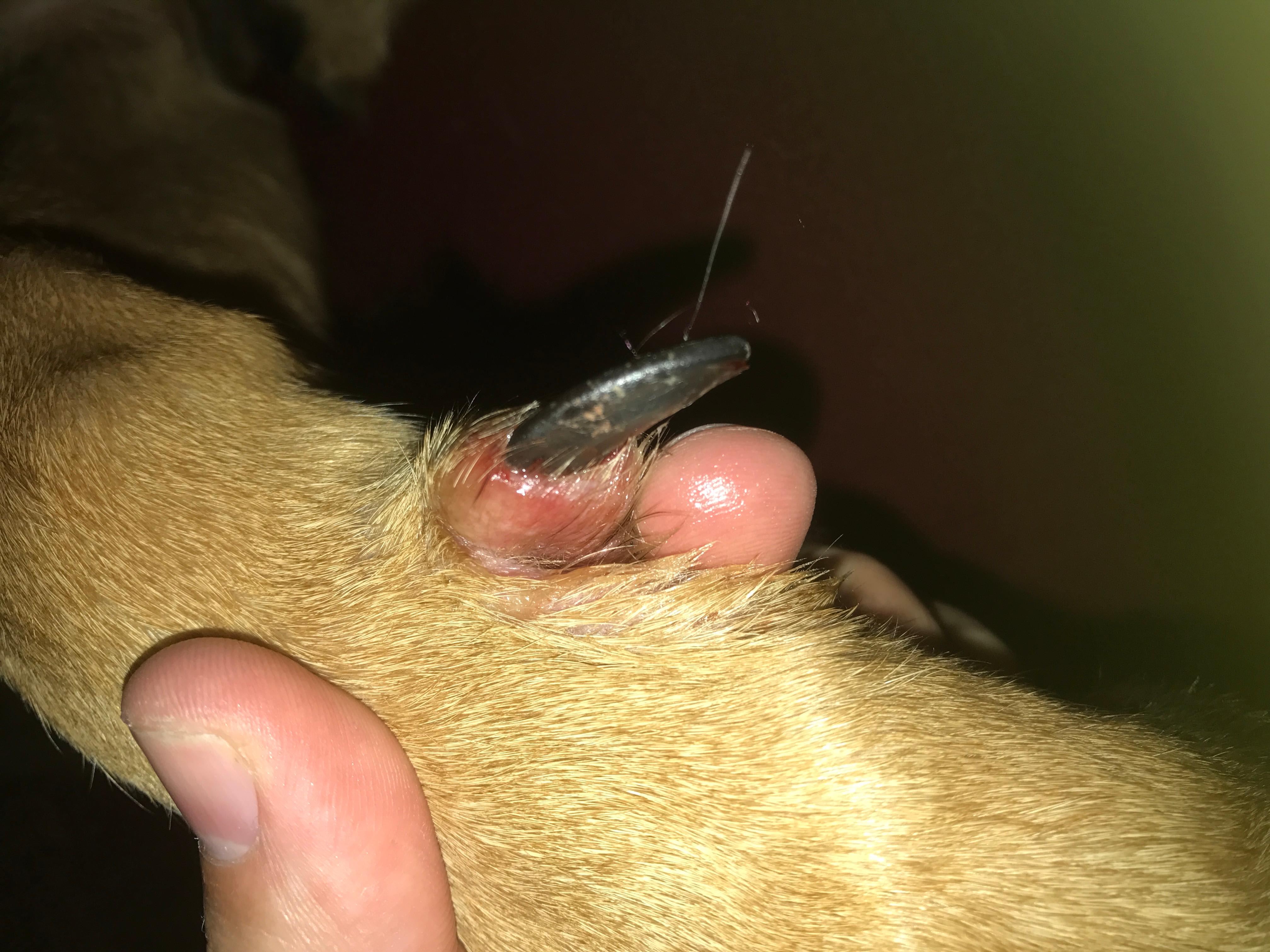 Question details sensitive content