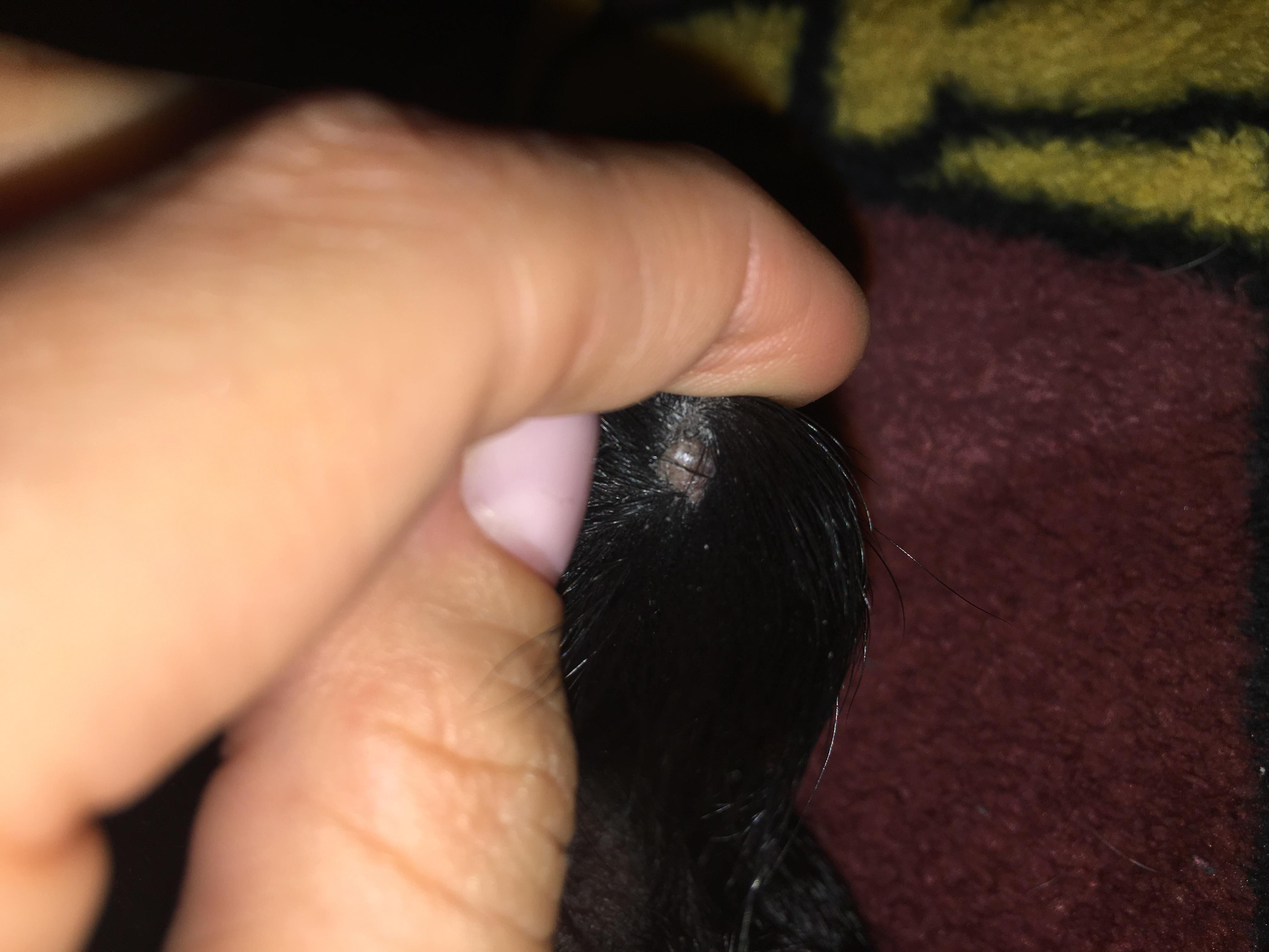 Question details sensitive content