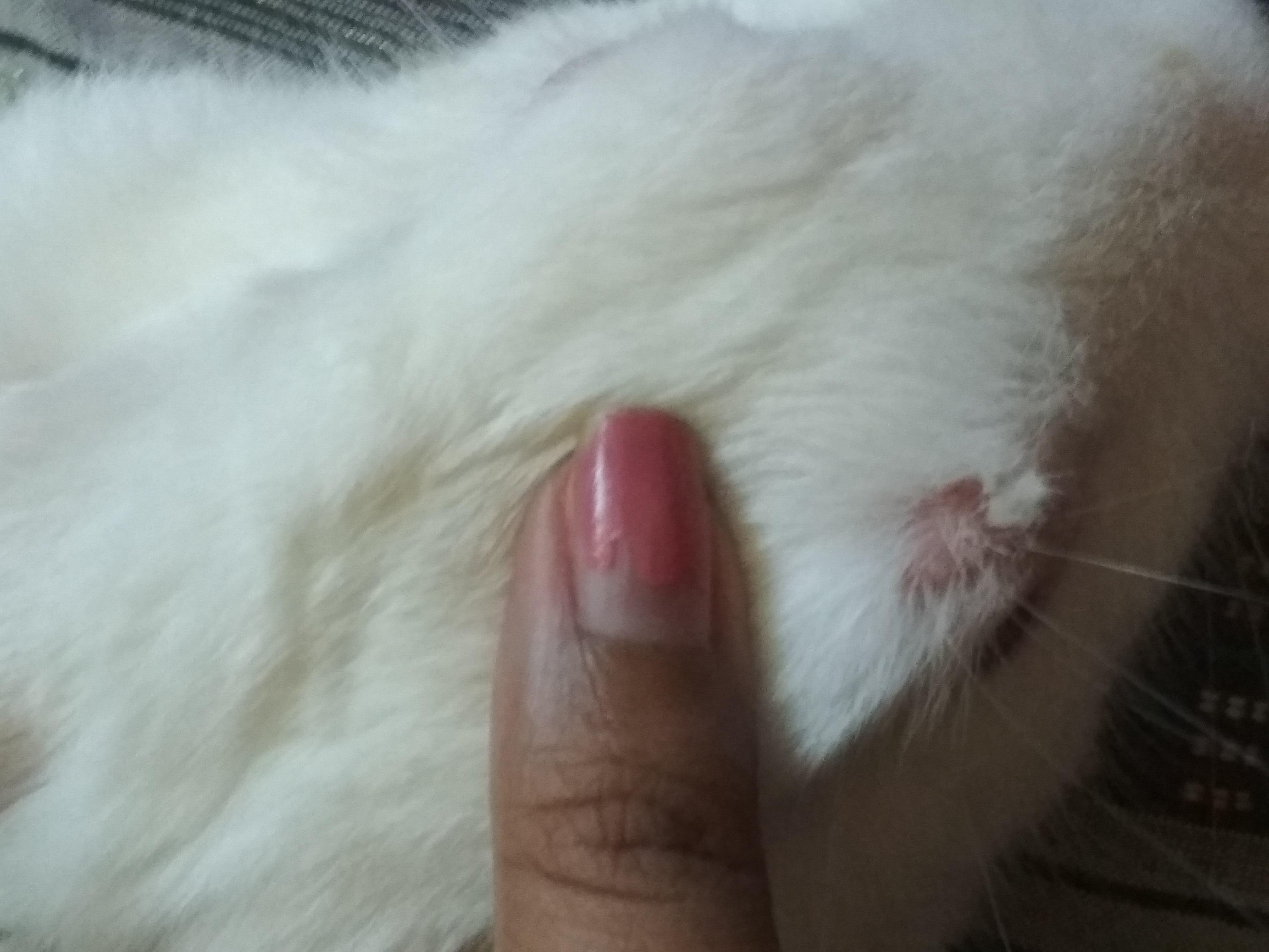 Question details sensitive content