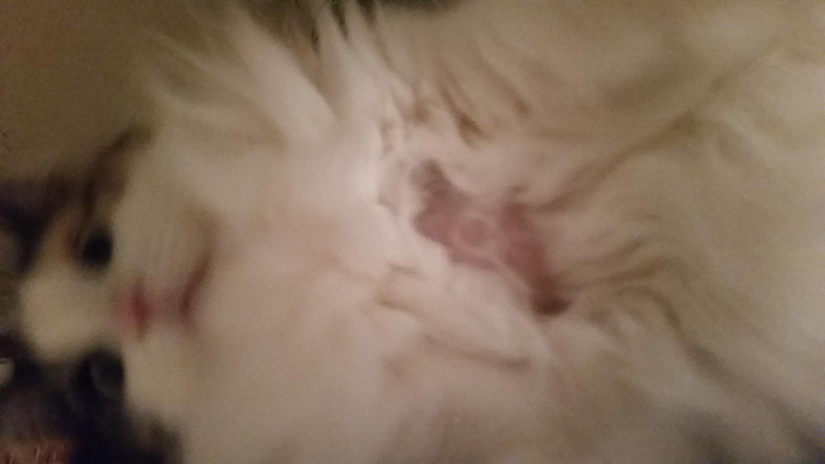 Question details sensitive content