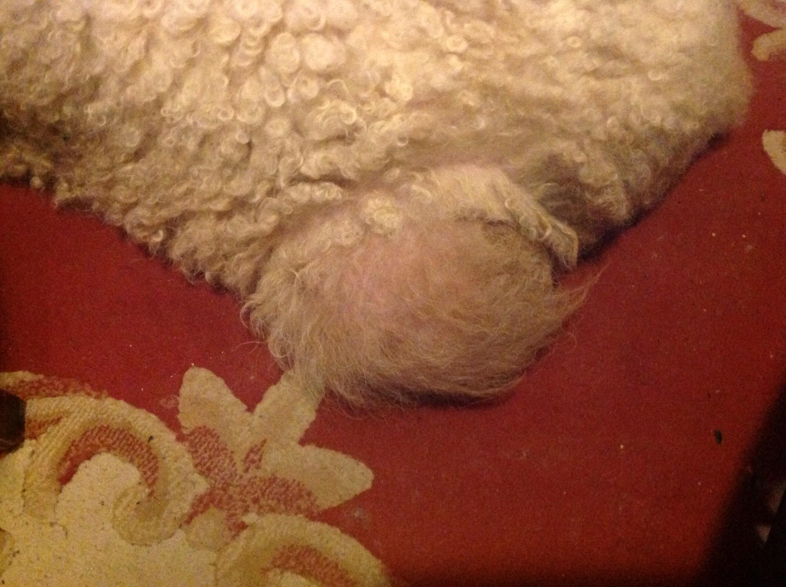 Question details sensitive content